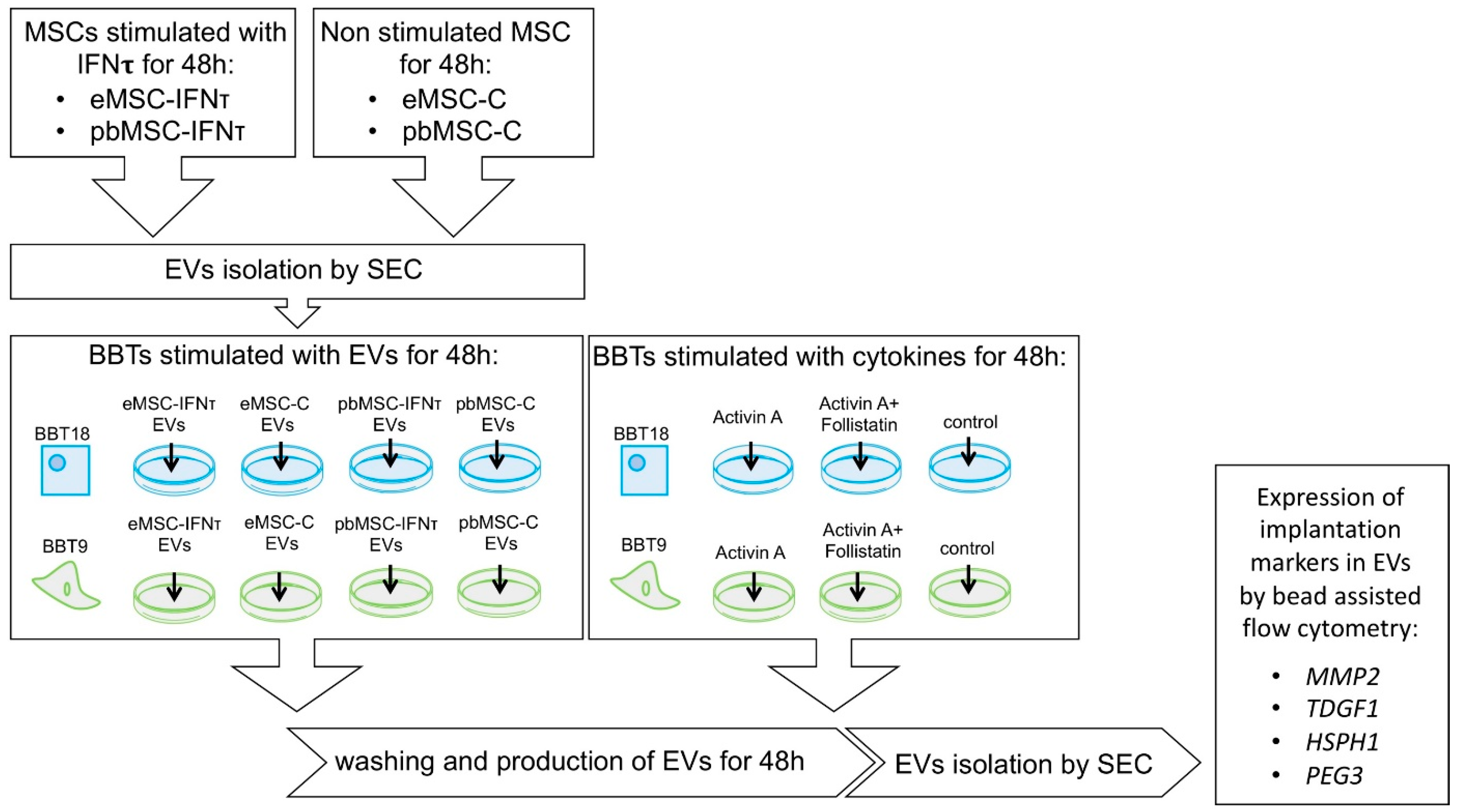 Ijms 22 05638 g005 Ijms 22 05638 g005