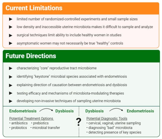 IJMS Free Full Text Intricate Connections between the