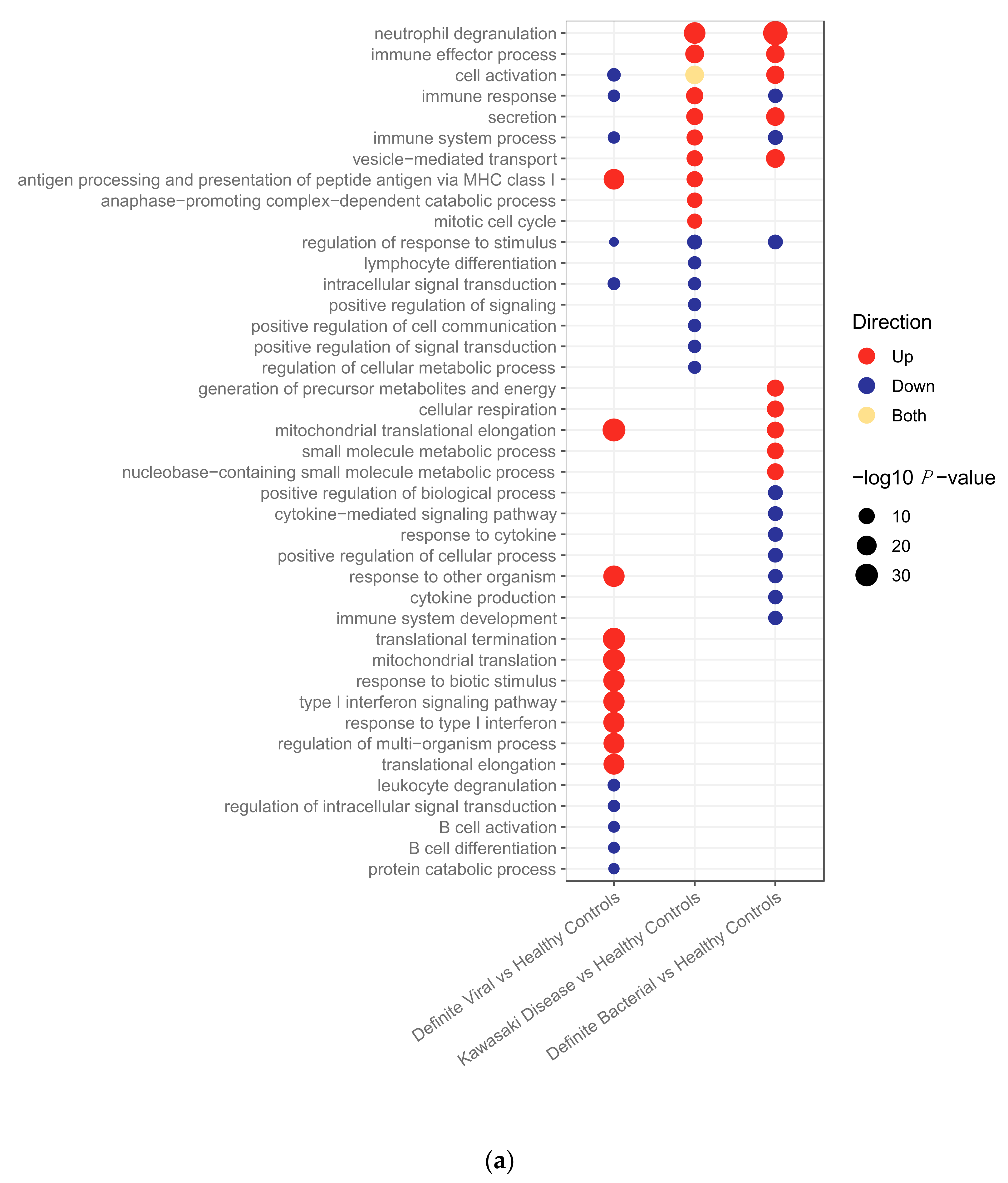 Ijms 22 05655 g001a Ijms 22 05655 g001a