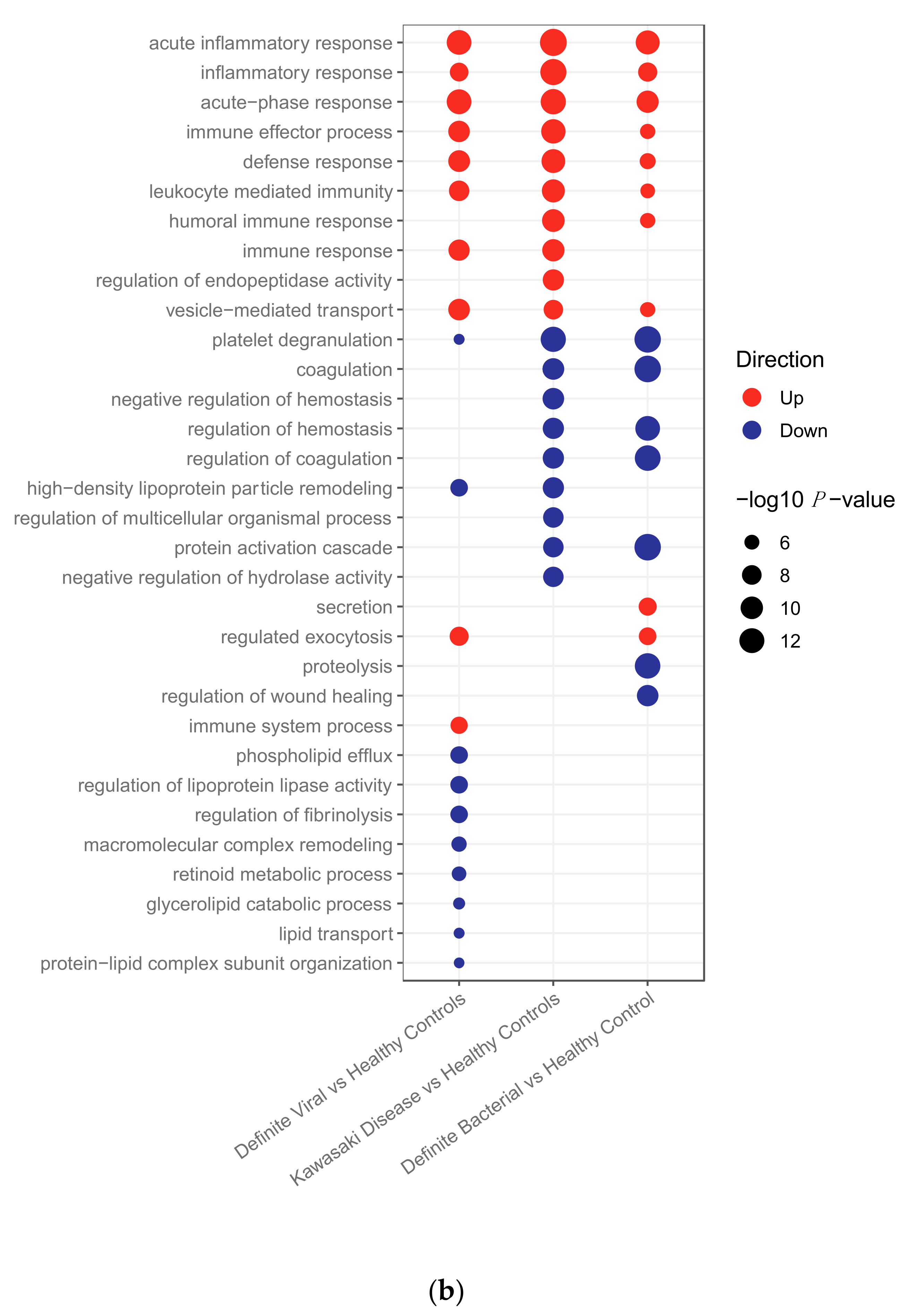 Ijms 22 05655 g001b Ijms 22 05655 g001b