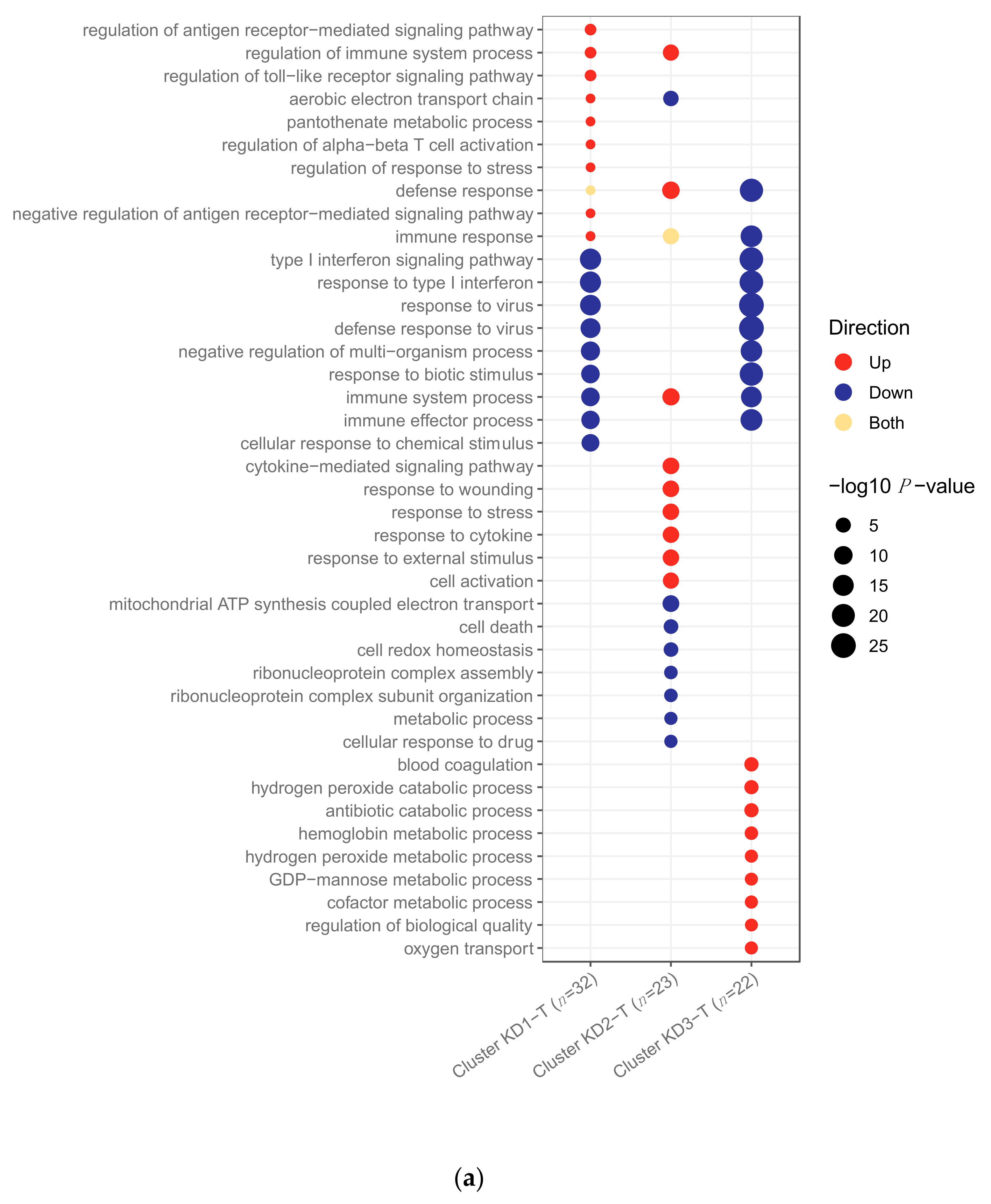 Ijms 22 05655 g006a Ijms 22 05655 g006a