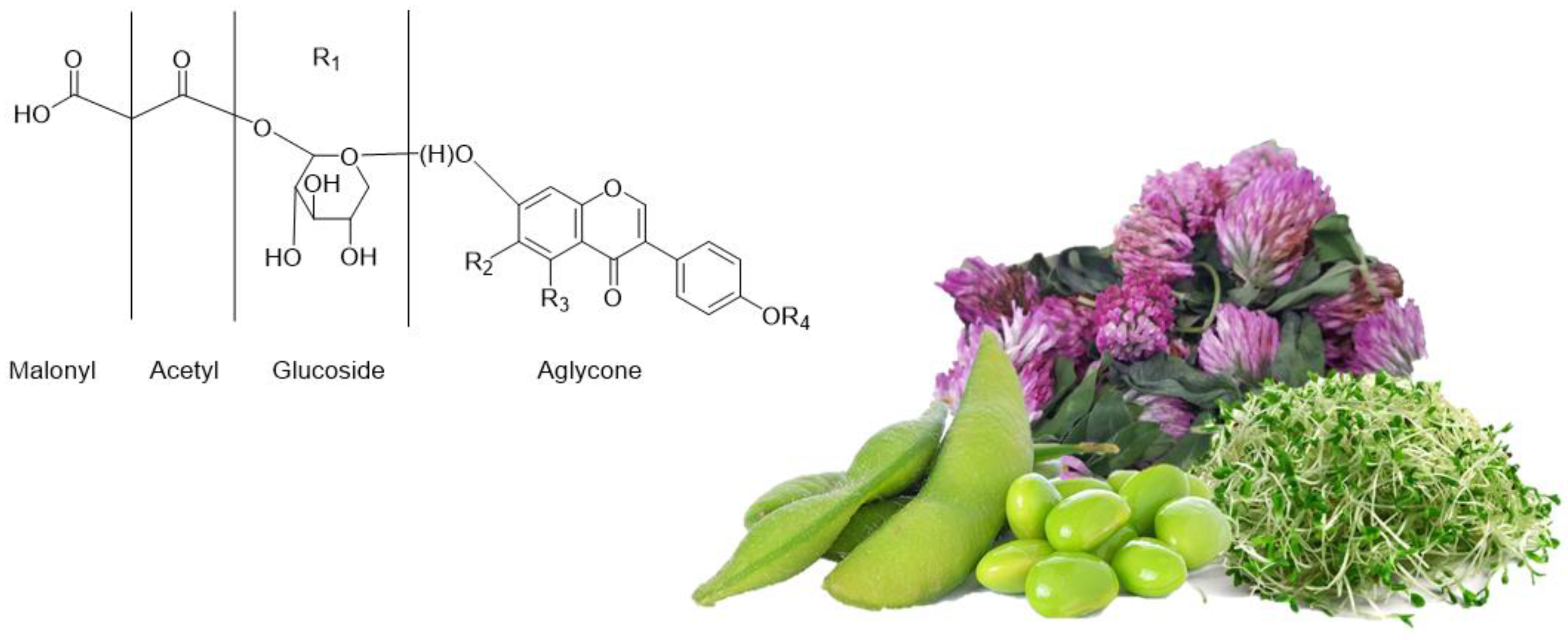 Ijms 22 05656 g003 Ijms 22 05656 g003