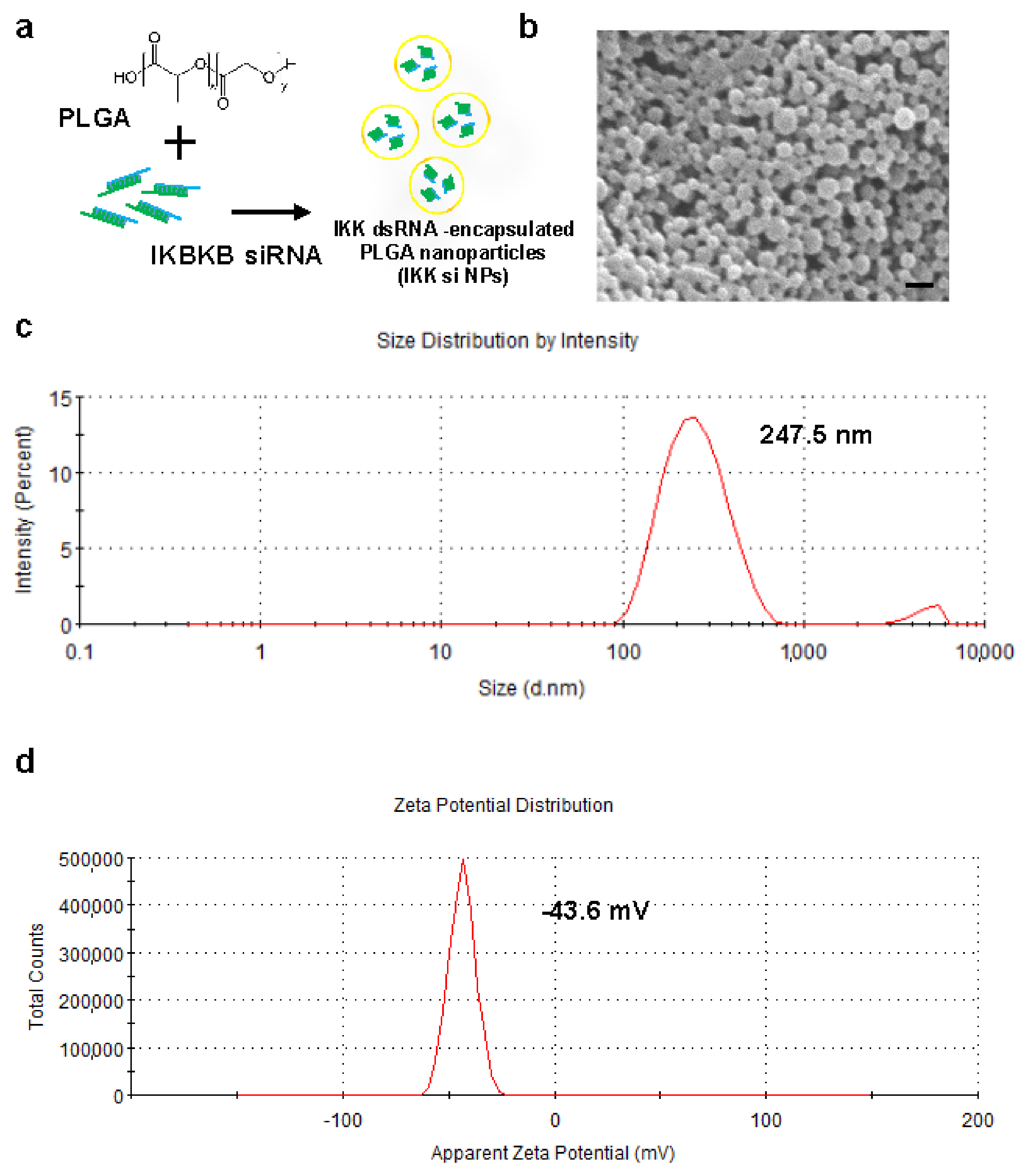 Ijms 22 05657 g002 Ijms 22 05657 g002