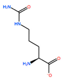 Ijms 22 05670 i008 Ijms 22 05670 i008