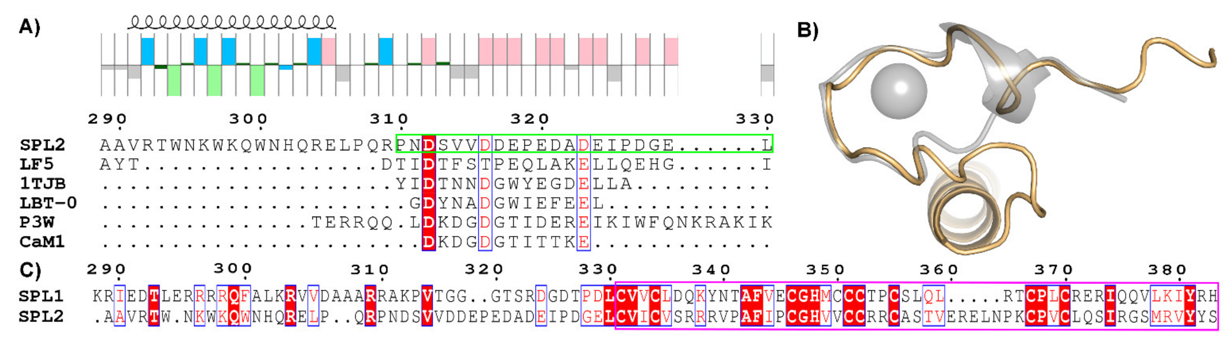 Ijms Free Full Text Ubiquitin Ligase Spl2 Is A Lanthanide Binding Protein Html