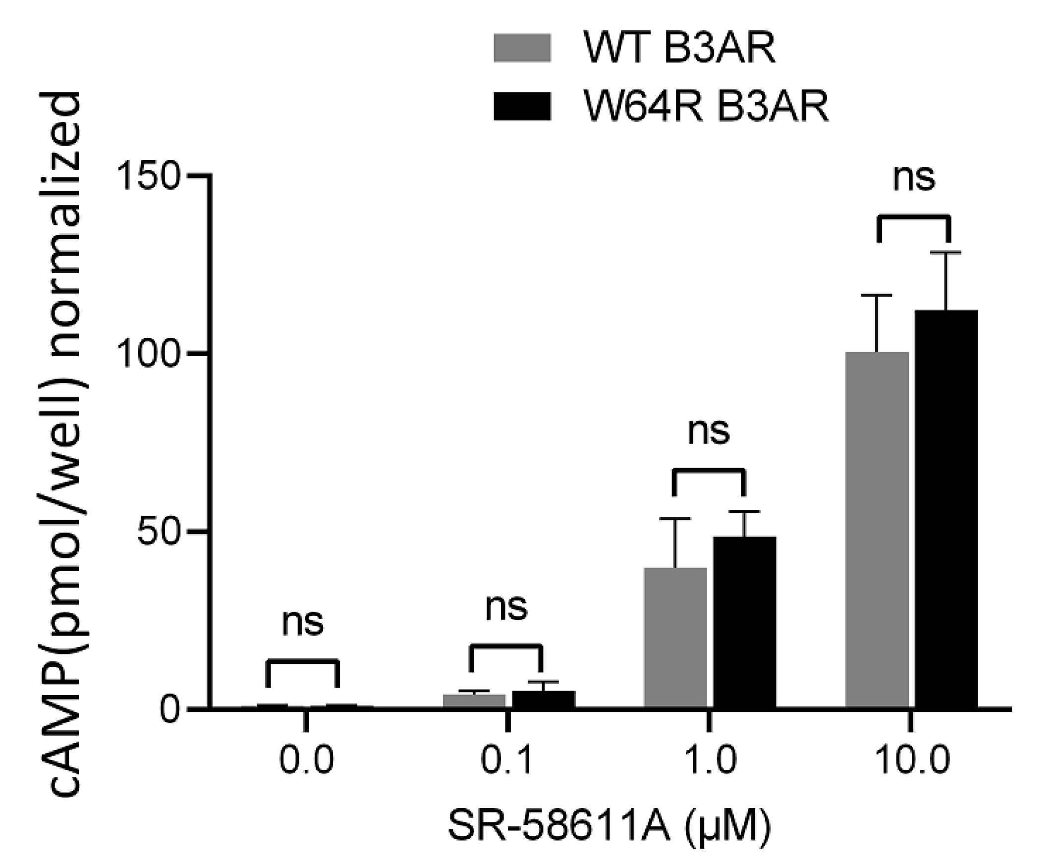 Ijms 22 05721 g003 Ijms 22 05721 g003