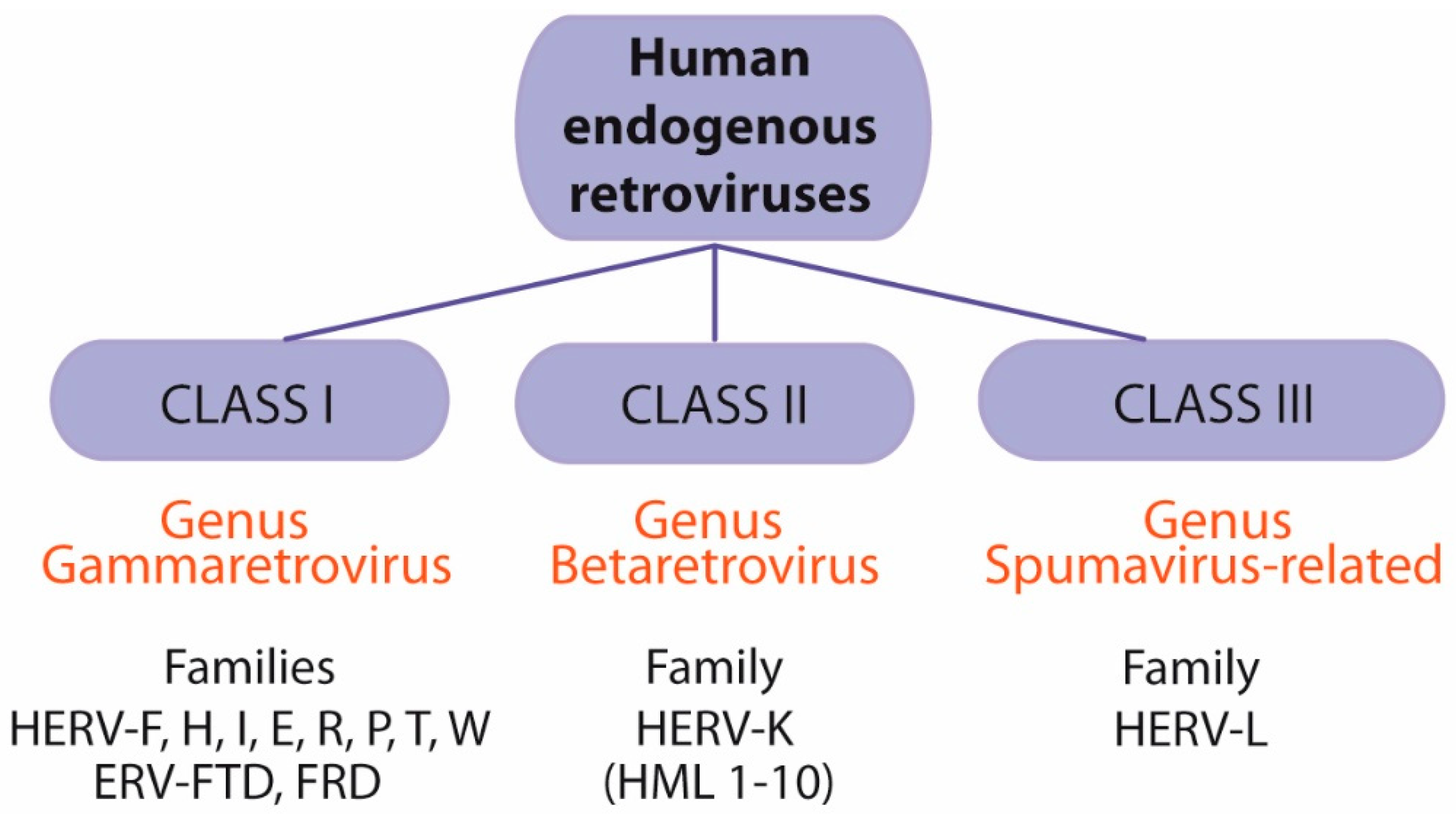 Ijms Free Full Text Hsv 1 And Endogenous Retroviruses As Risk Factors In Demyelination Html