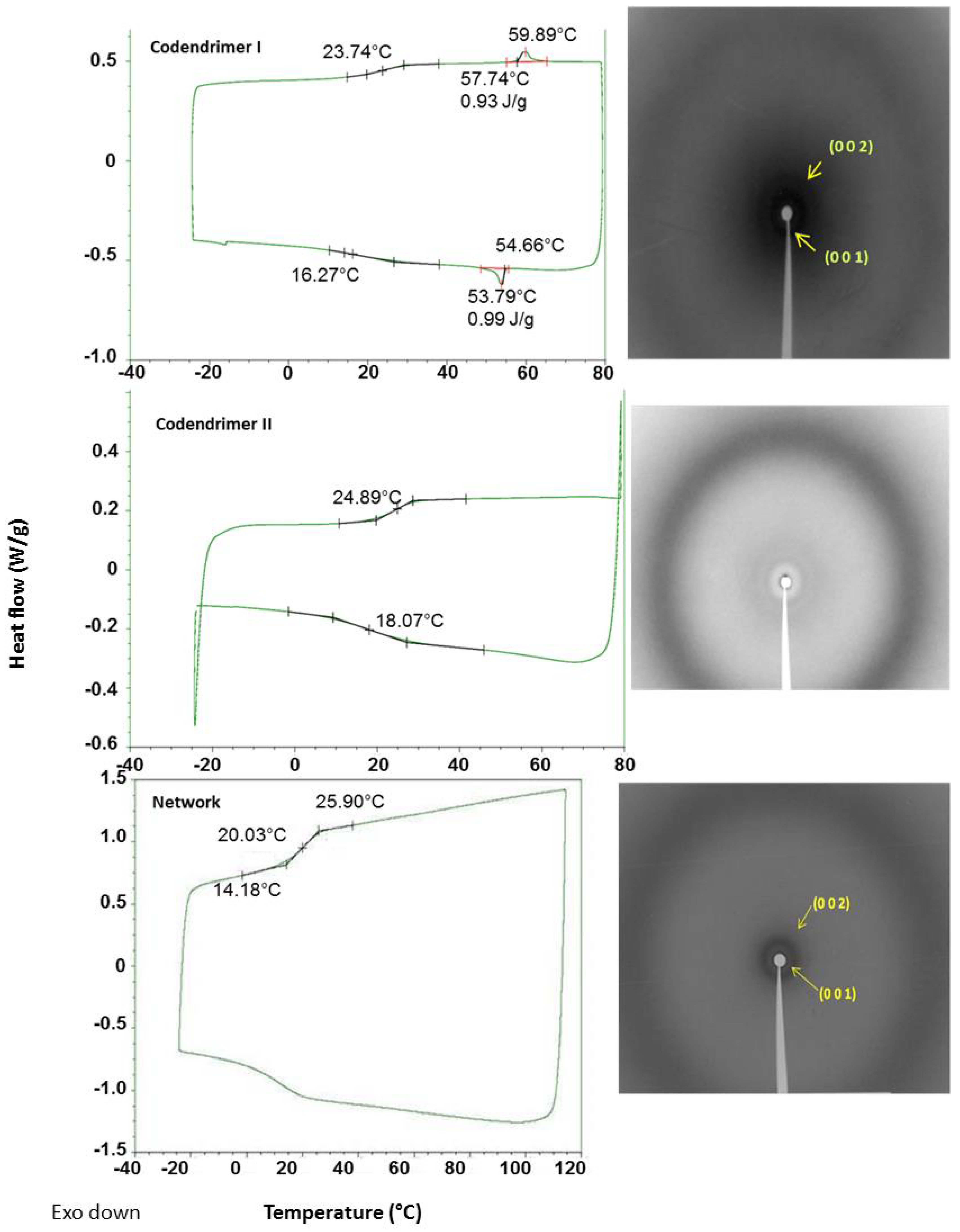 Ijms 22 05740 g002 Ijms 22 05740 g002