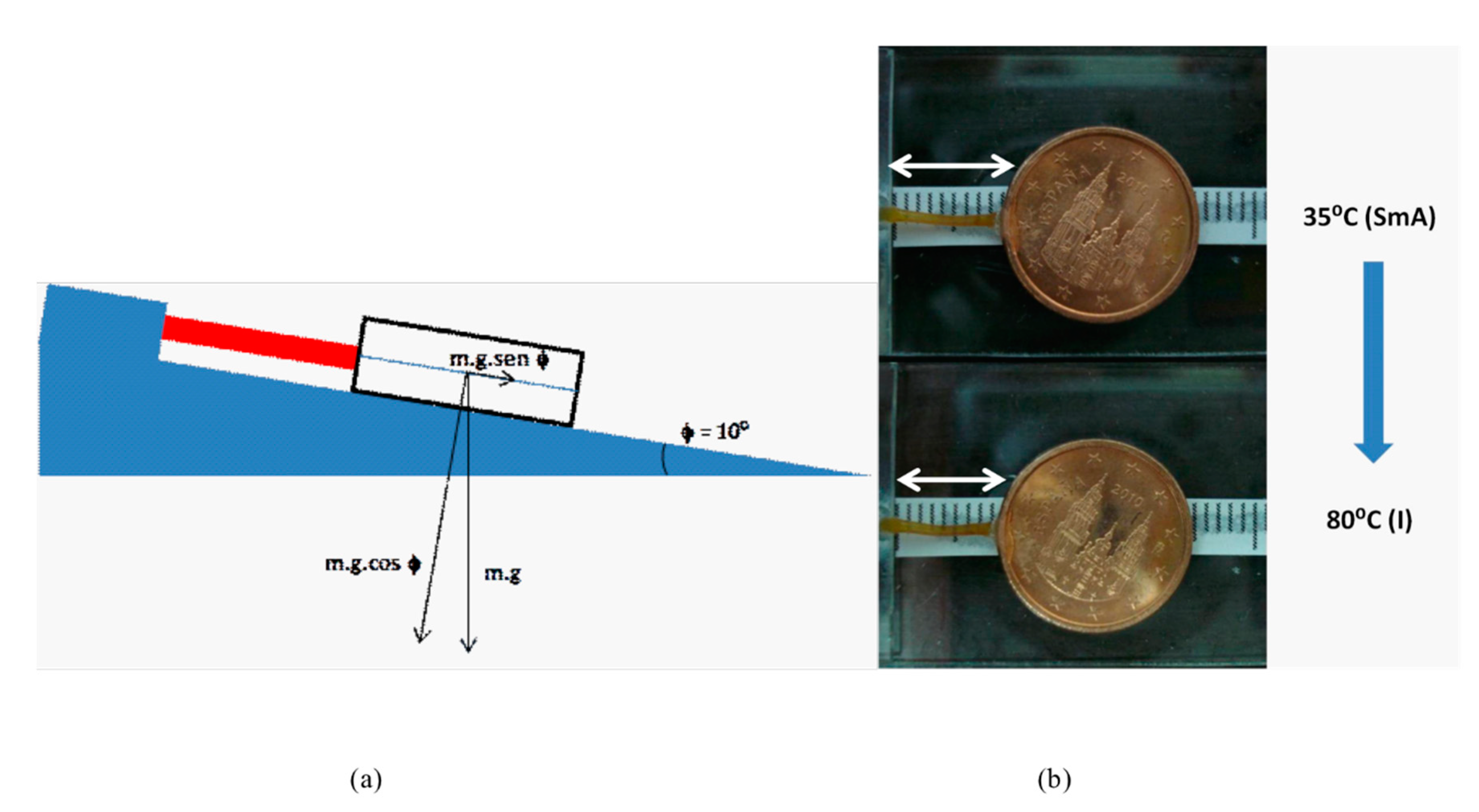Ijms 22 05740 g004 Ijms 22 05740 g004
