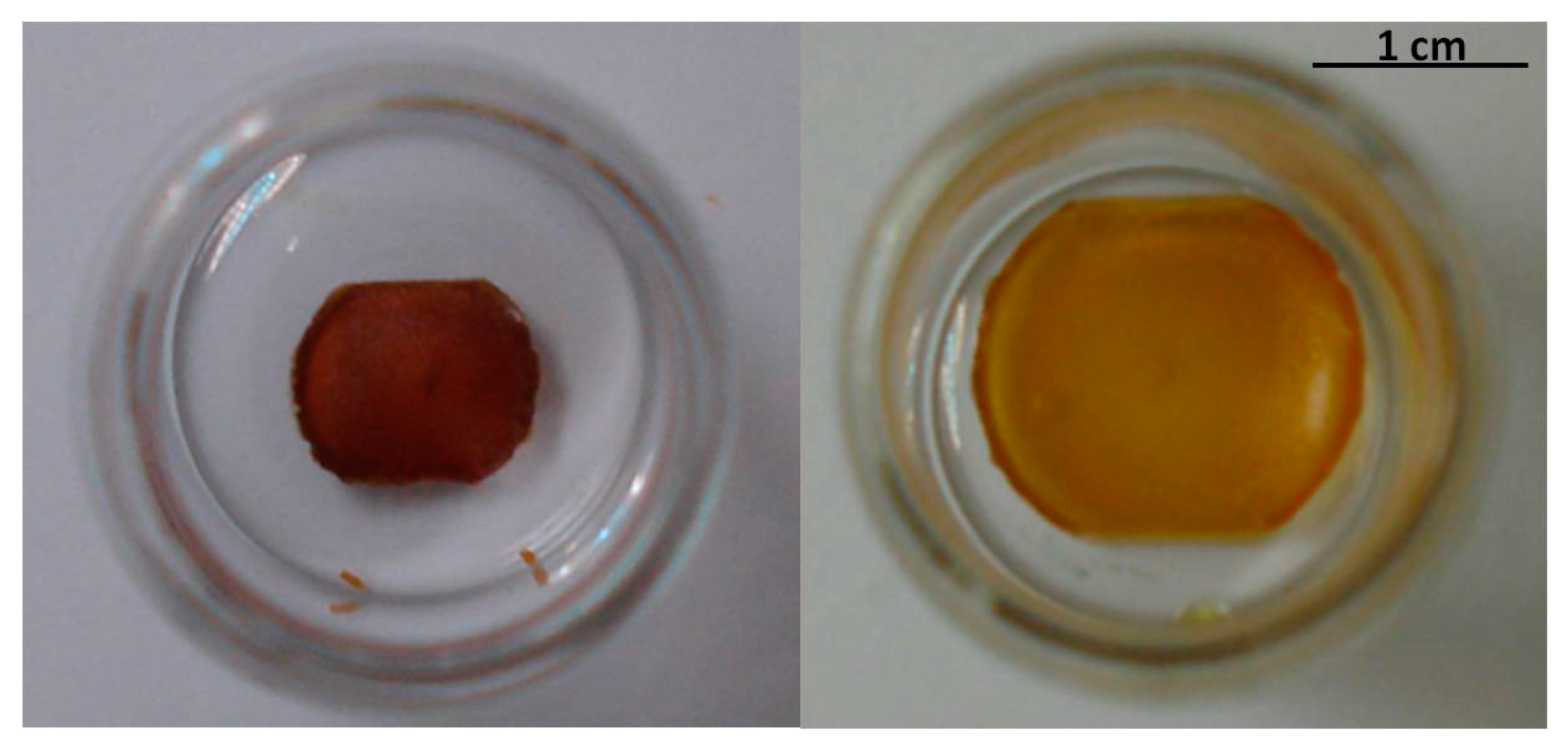 Ijms 22 05740 g007 Ijms 22 05740 g007