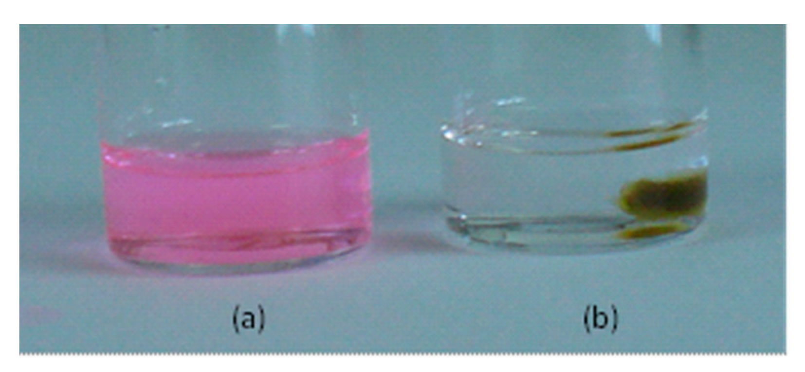 Ijms 22 05740 g008 Ijms 22 05740 g008