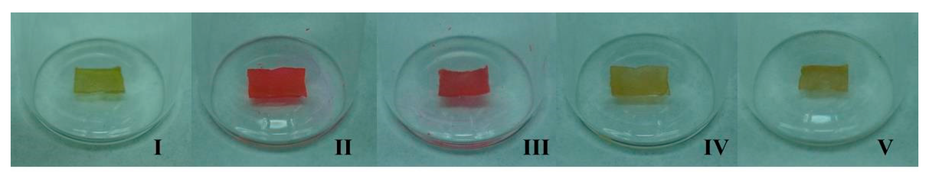 Ijms 22 05740 g009 Ijms 22 05740 g009