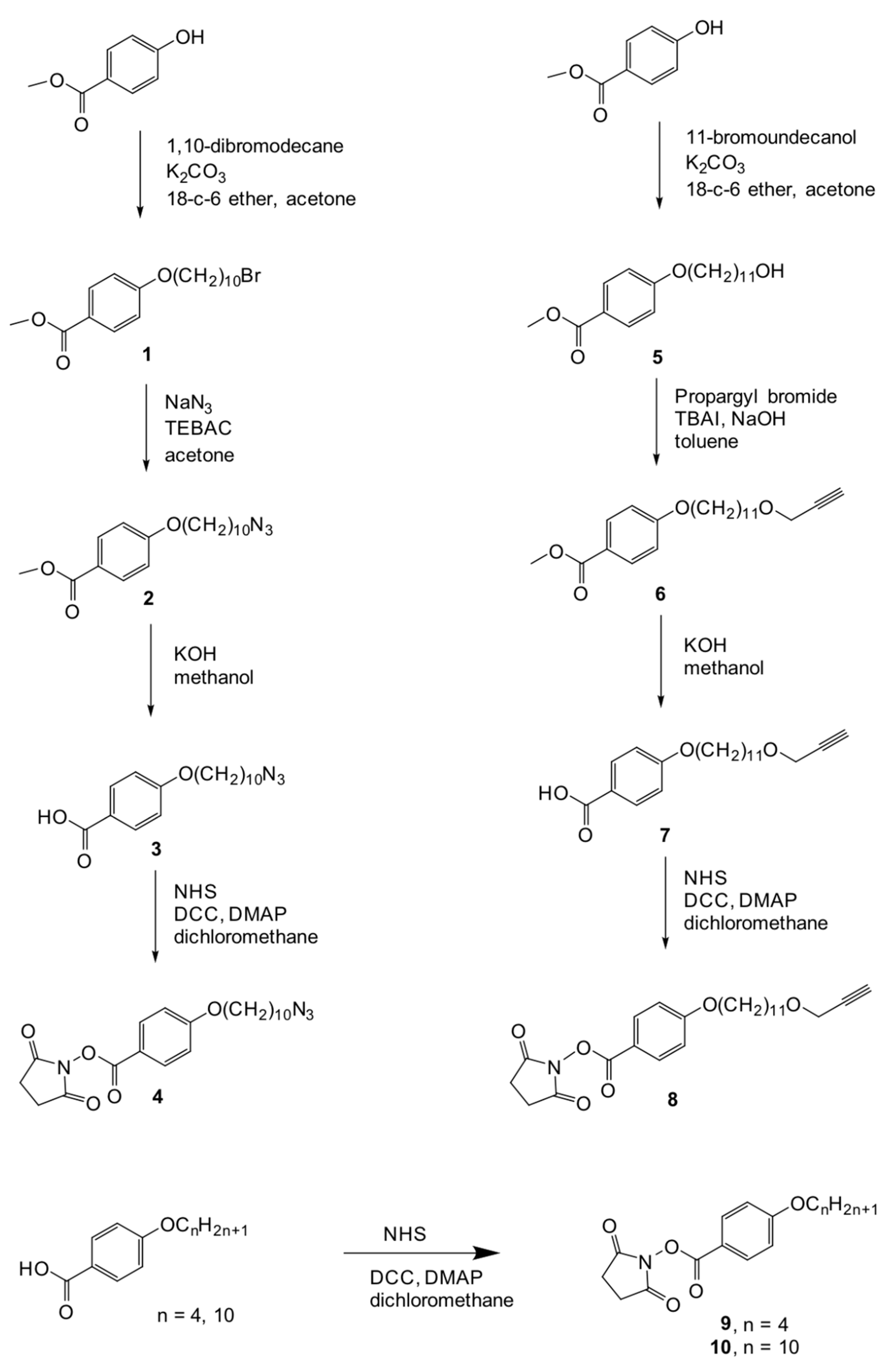Ijms 22 05740 g011 Ijms 22 05740 g011