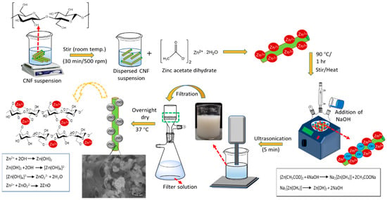 Ijms Free Full Text Facile Synthesis And Characterization Of Palm Cnf Zno Nanocomposites With Antibacterial And Reinforcing Properties Html