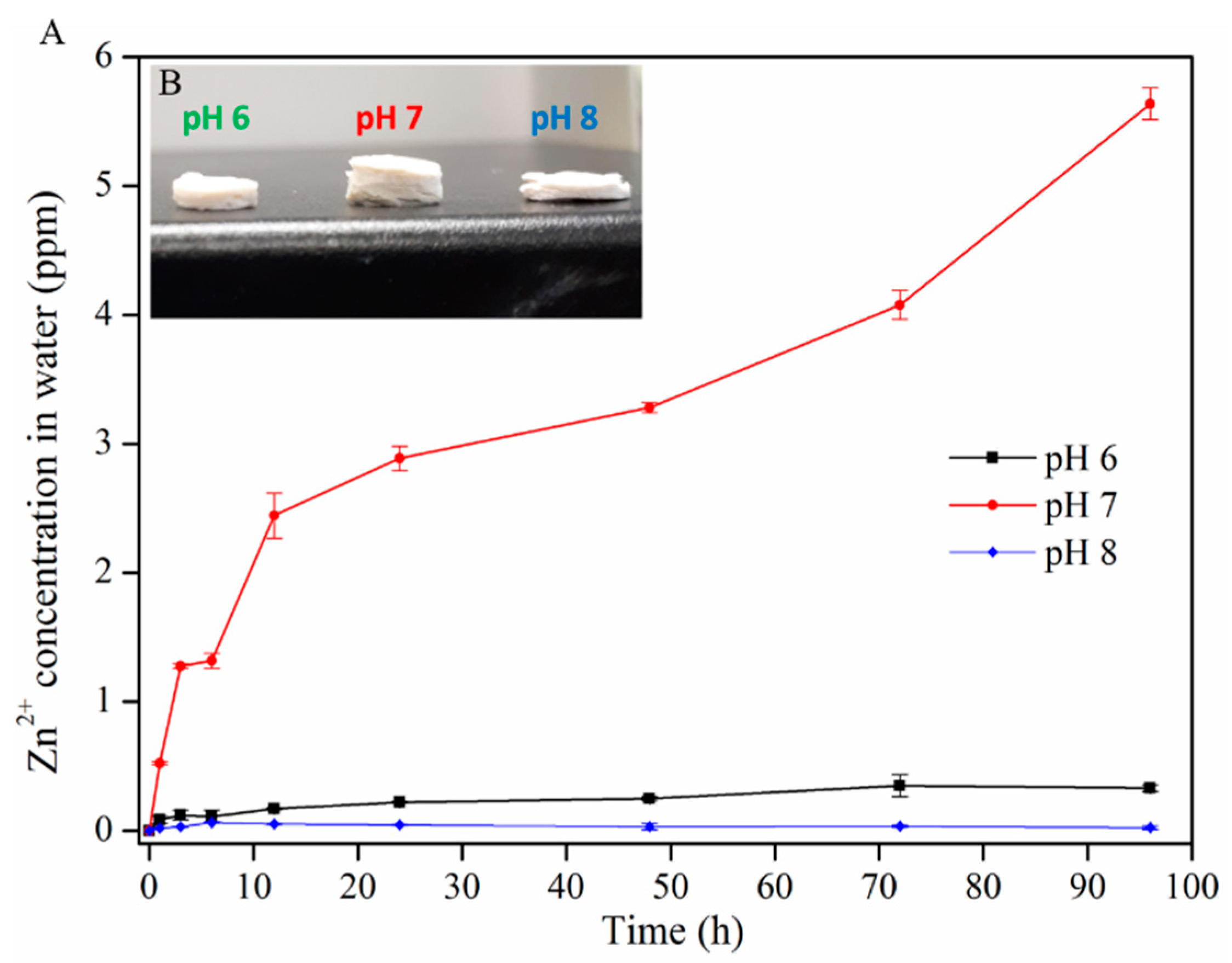Ijms 22 05781 g005 Ijms 22 05781 g005