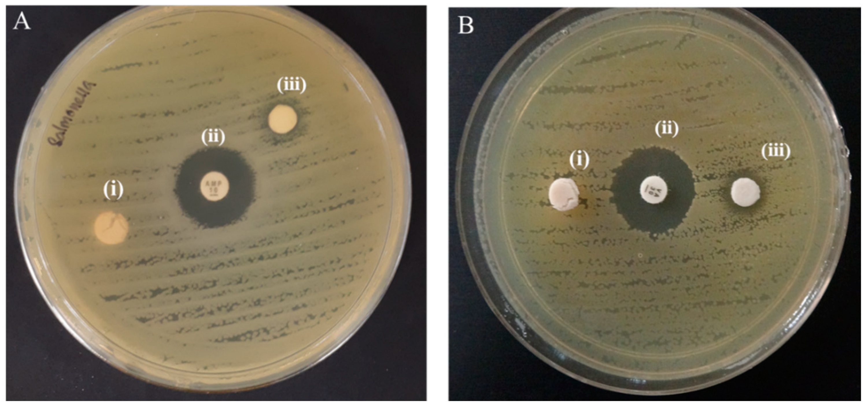 Ijms 22 05781 g006 Ijms 22 05781 g006