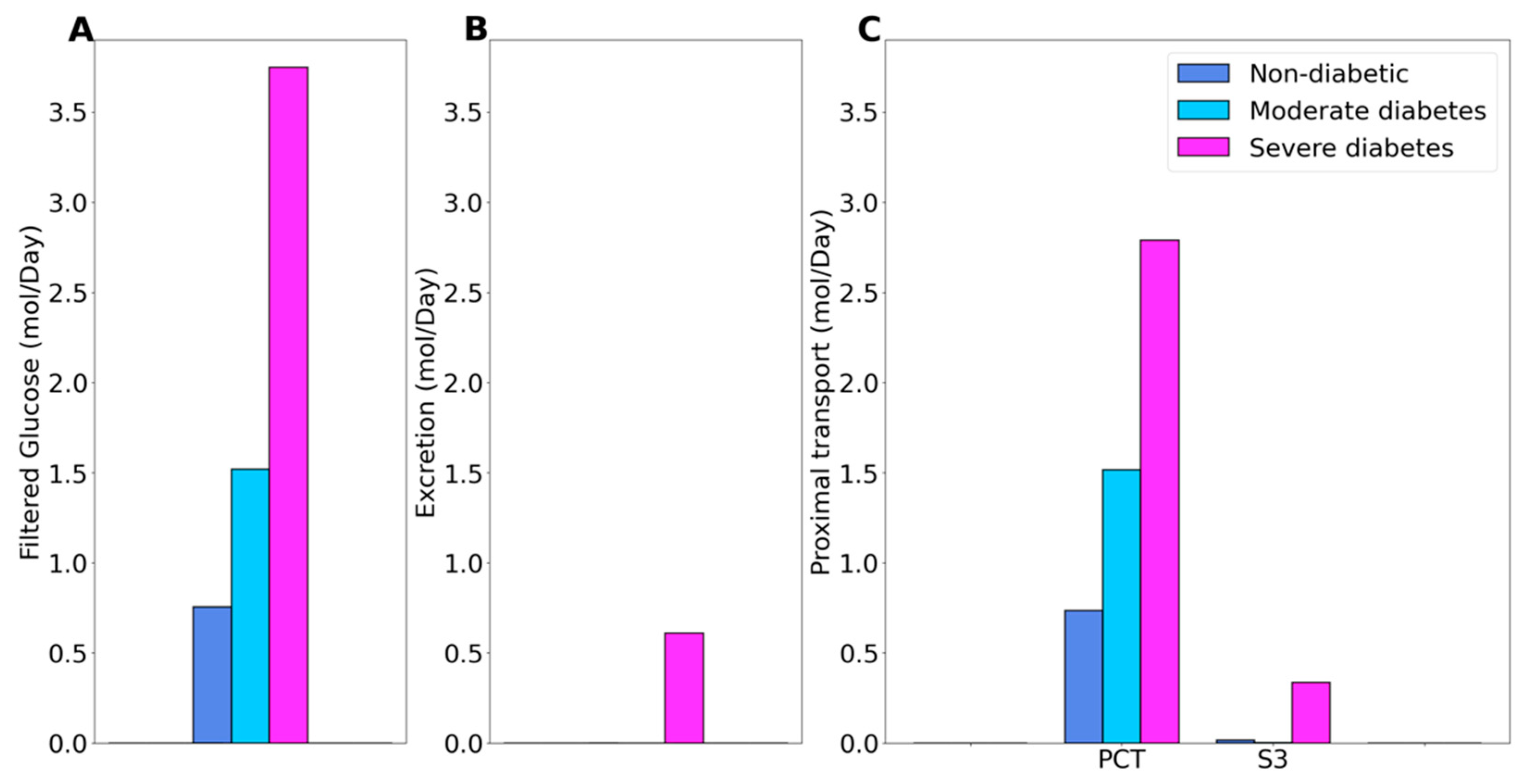 A Computational Model of Kidney Function in a Patient with Diabetes