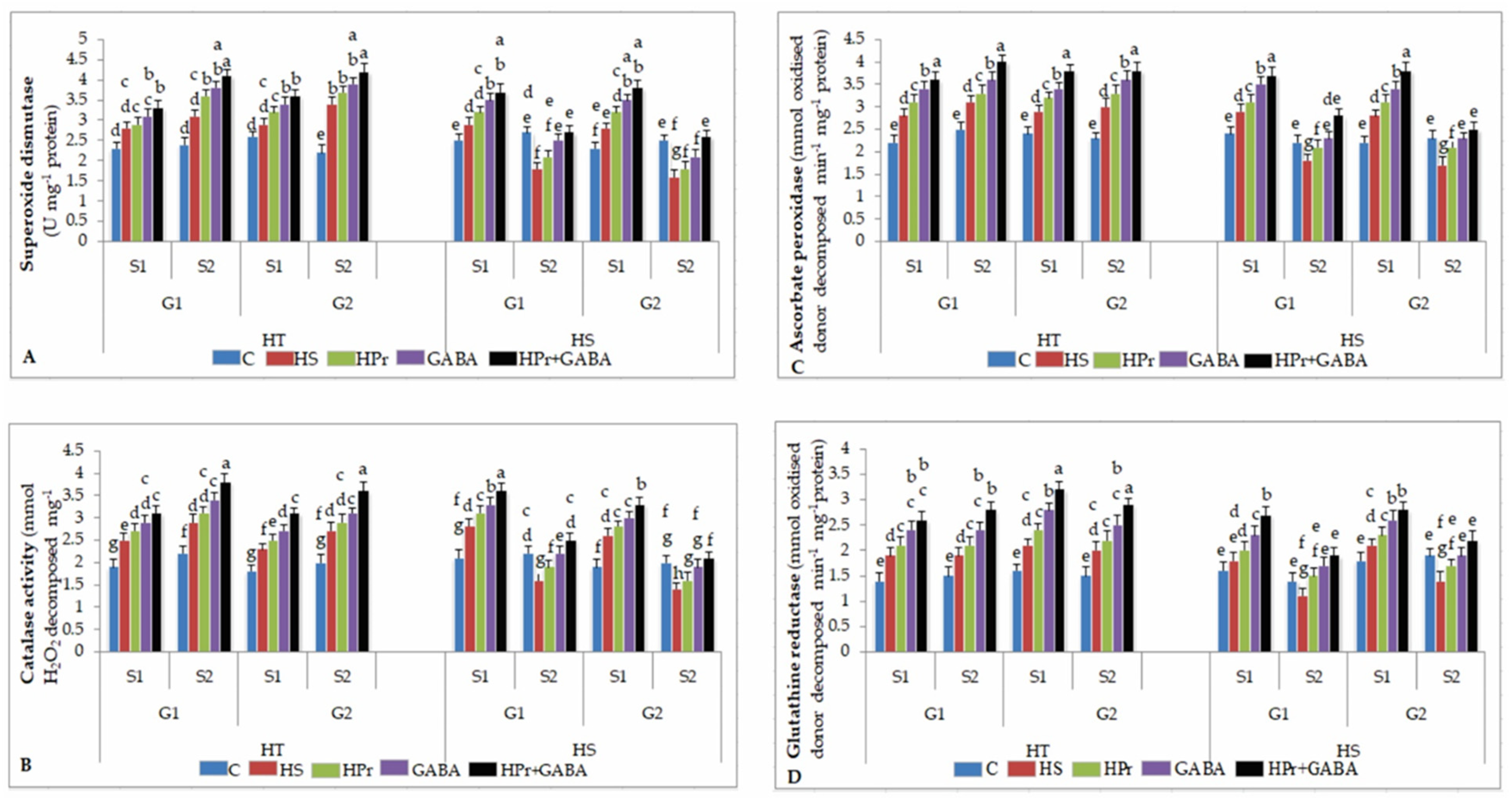 Ijms 22 05825 g006 Ijms 22 05825 g006