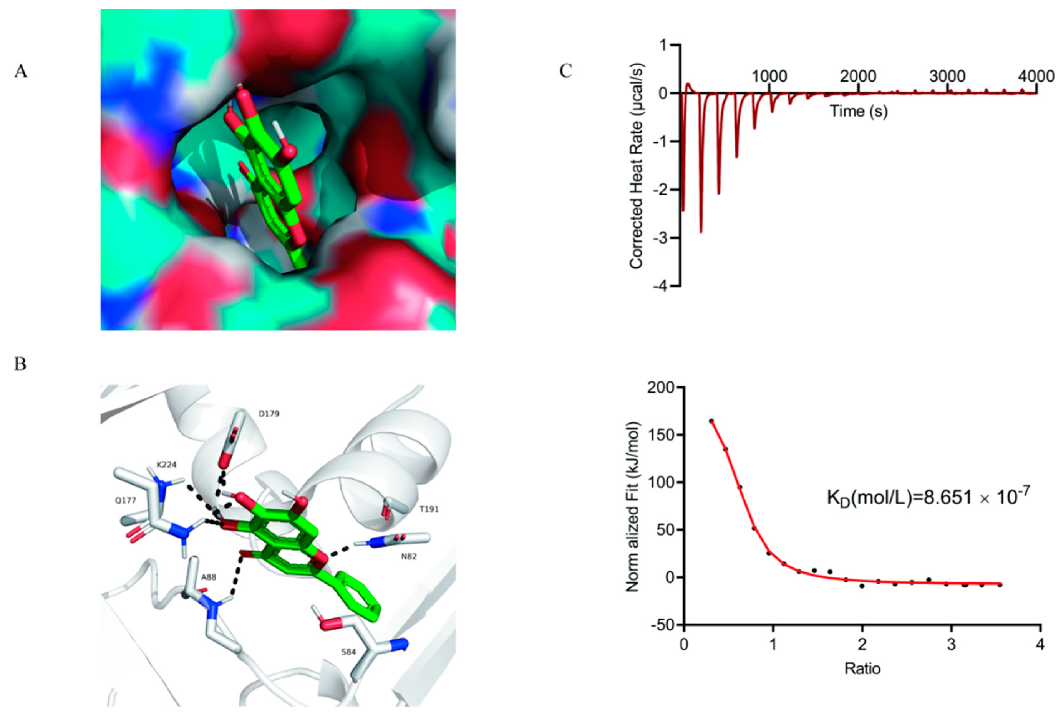 Ijms 22 05829 g004 Ijms 22 05829 g004