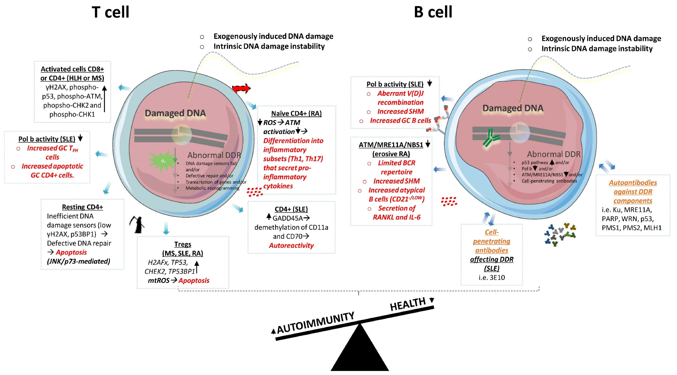 Ijms 22 05842 g002 Ijms 22 05842 g002