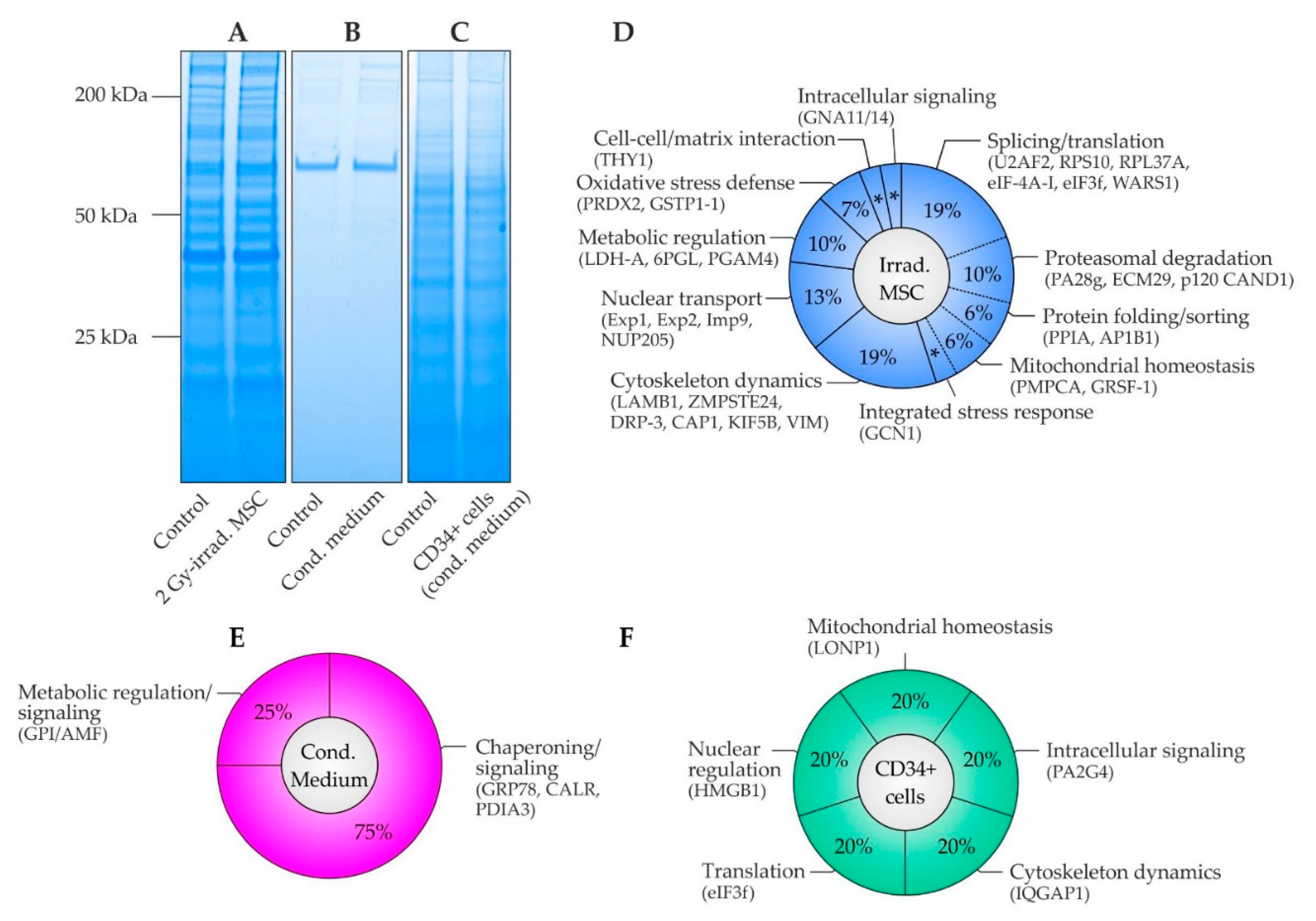 Ijms 22 05844 g003 Ijms 22 05844 g003