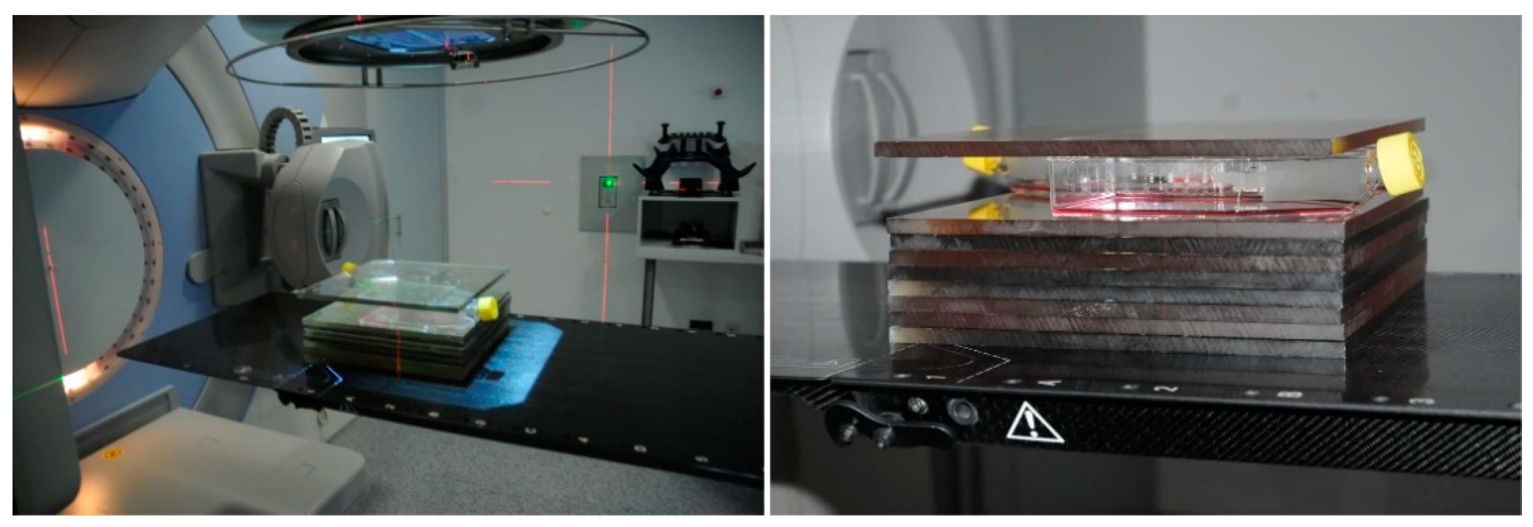 Ijms 22 05844 g005 Ijms 22 05844 g005