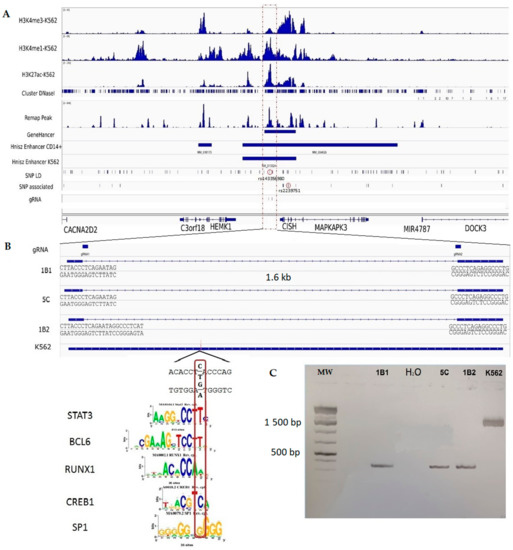 Genetic Factors of the Disease Course after Sepsis: A Genome-Wide Study for  28Day Mortality - eBioMedicine