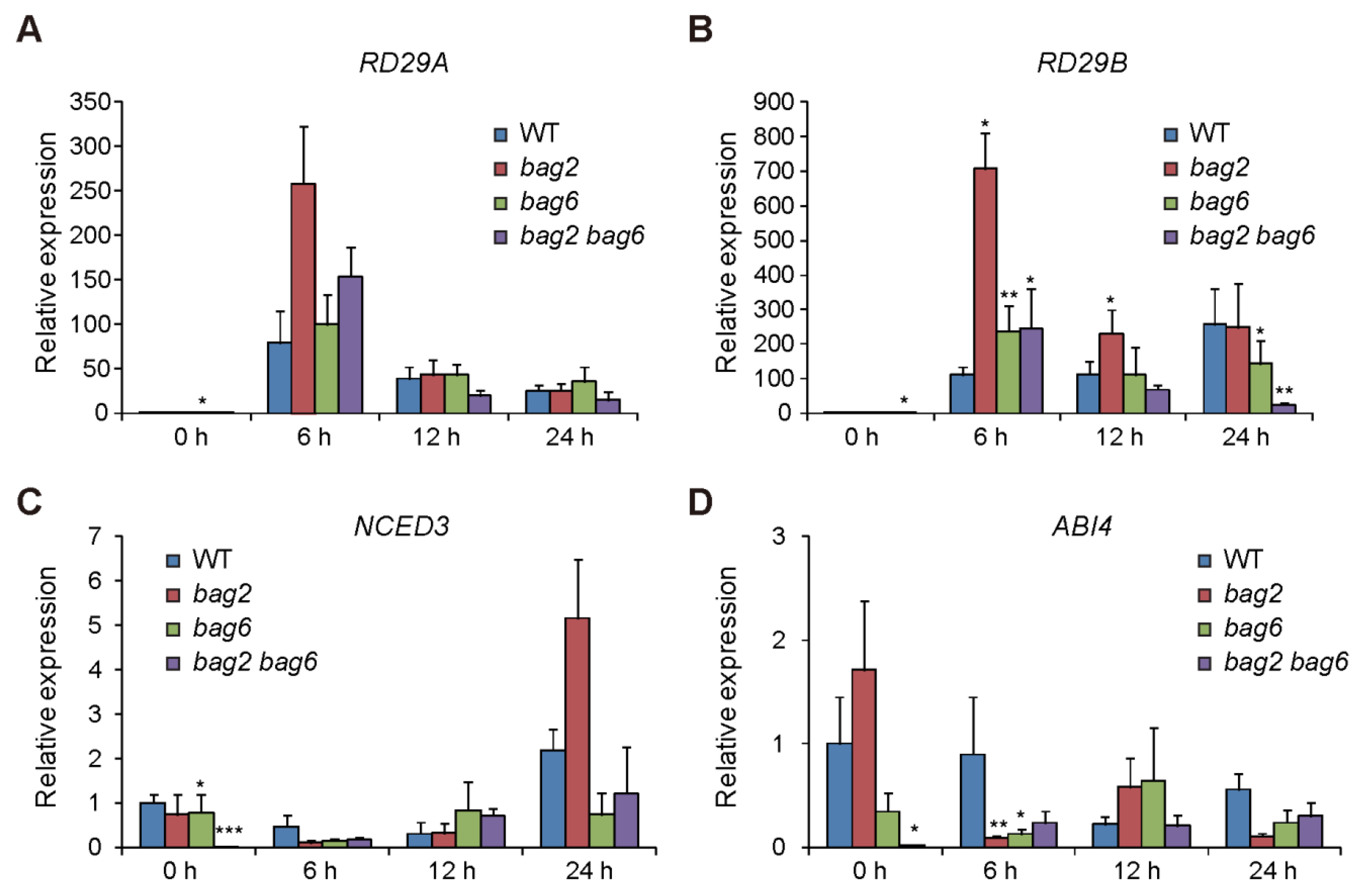 Ijms 22 05856 g009 Ijms 22 05856 g009