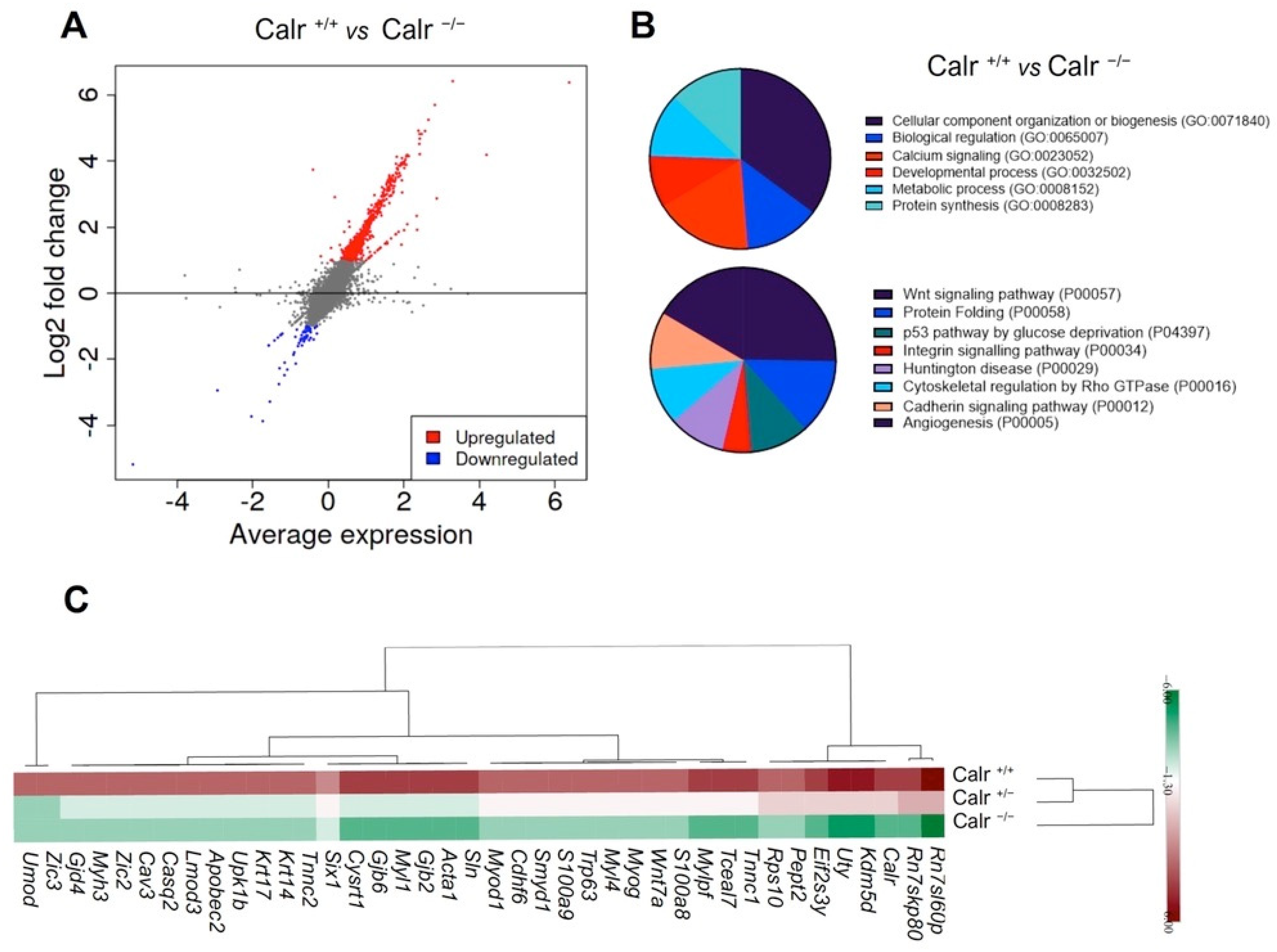 Ijms 22 05858 g003 Ijms 22 05858 g003