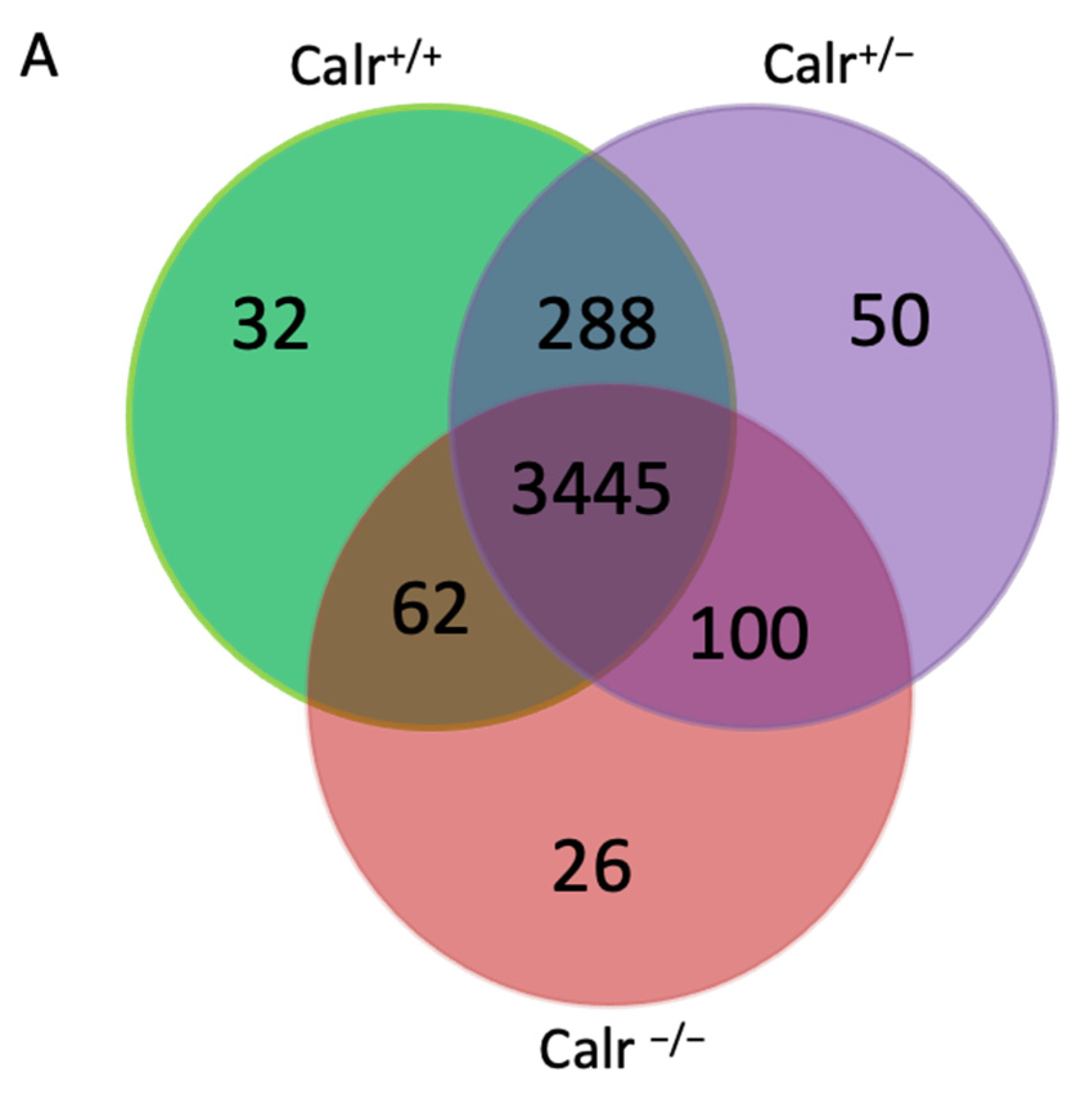 Ijms 22 05858 g005a Ijms 22 05858 g005a