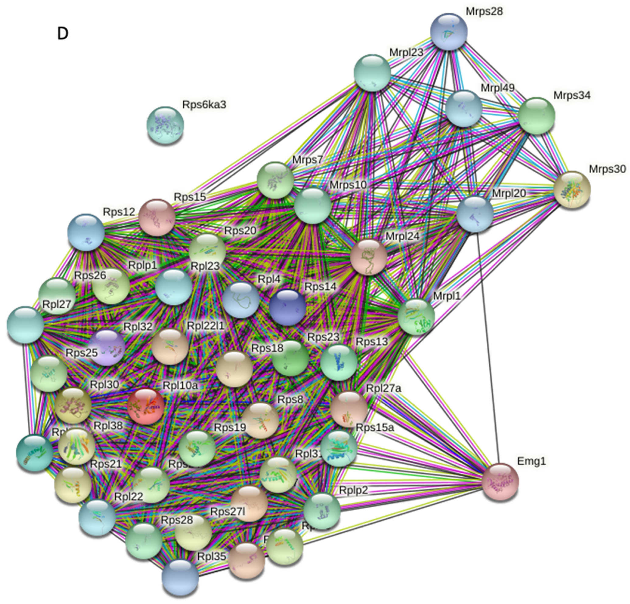 Ijms 22 05858 g006b Ijms 22 05858 g006b