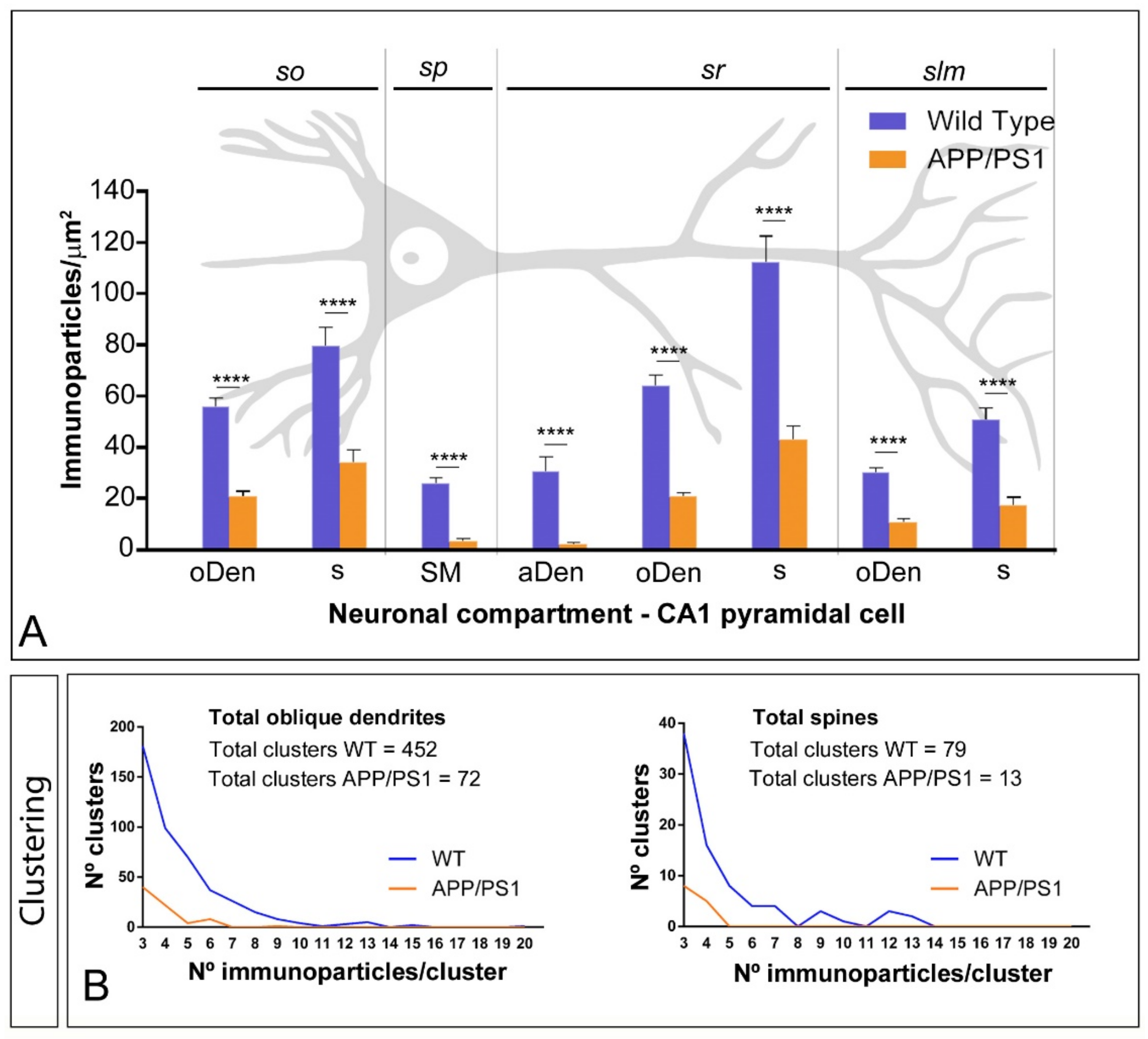 Ijms 22 05867 g003 Ijms 22 05867 g003
