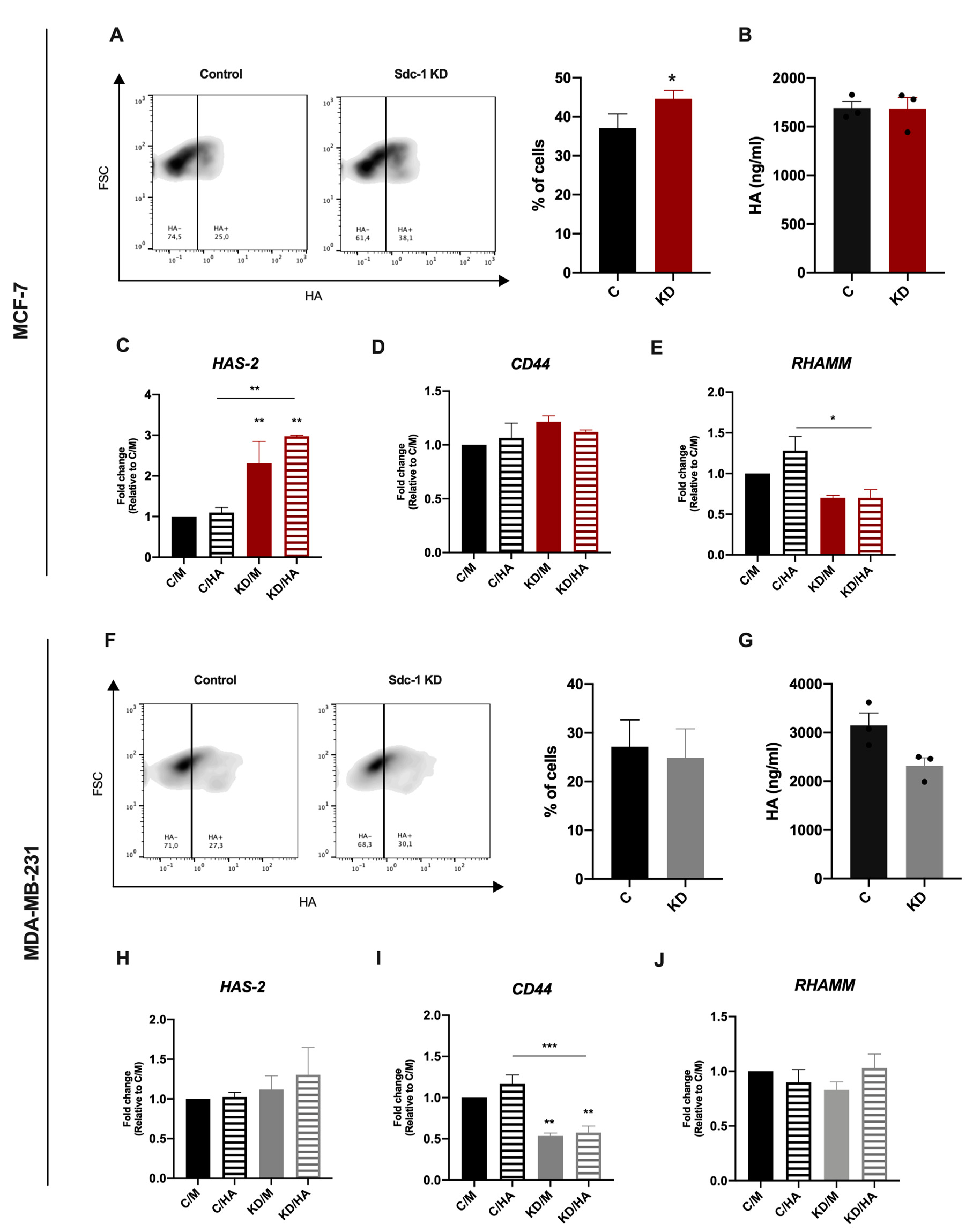 IJMS | Free Full-Text | Syndecan-1 Depletion Has a Differential Impact on  Hyaluronic Acid Metabolism and Tumor Cell Behavior in Luminal and  Triple-Negative Breast Cancer Cells