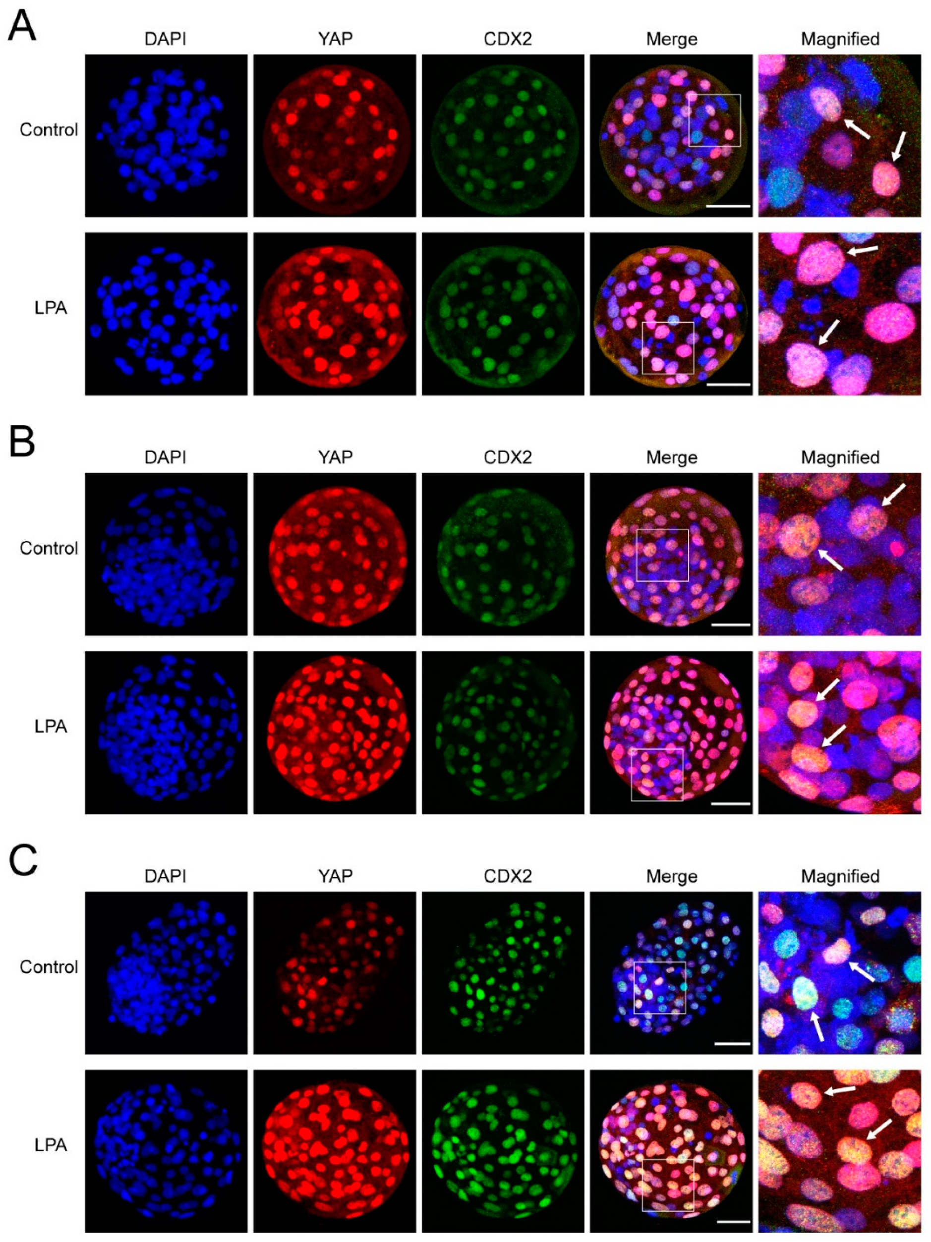 Ijms 22 05915 g003 Ijms 22 05915 g003