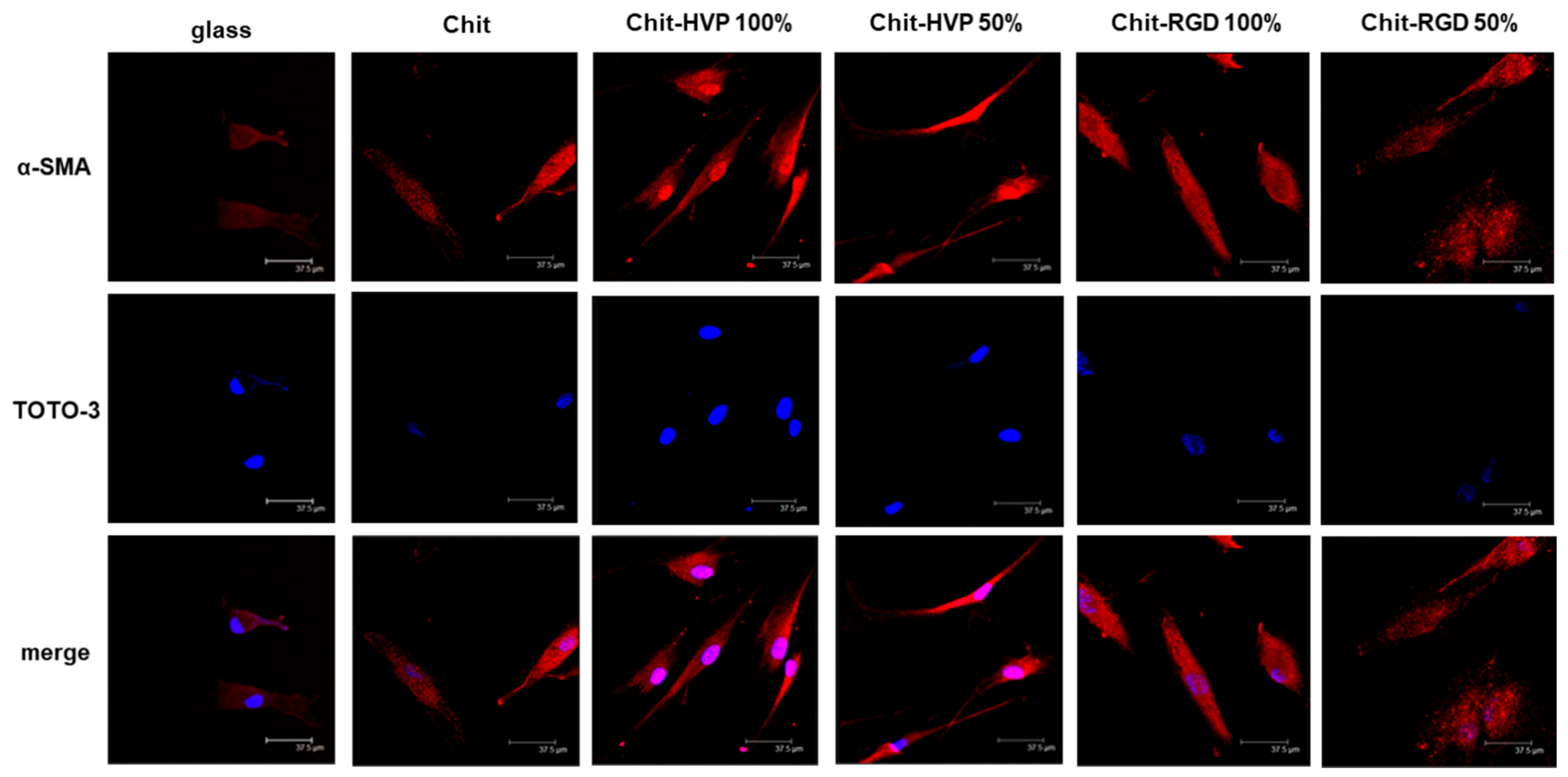 Ijms 22 05916 g008 Ijms 22 05916 g008