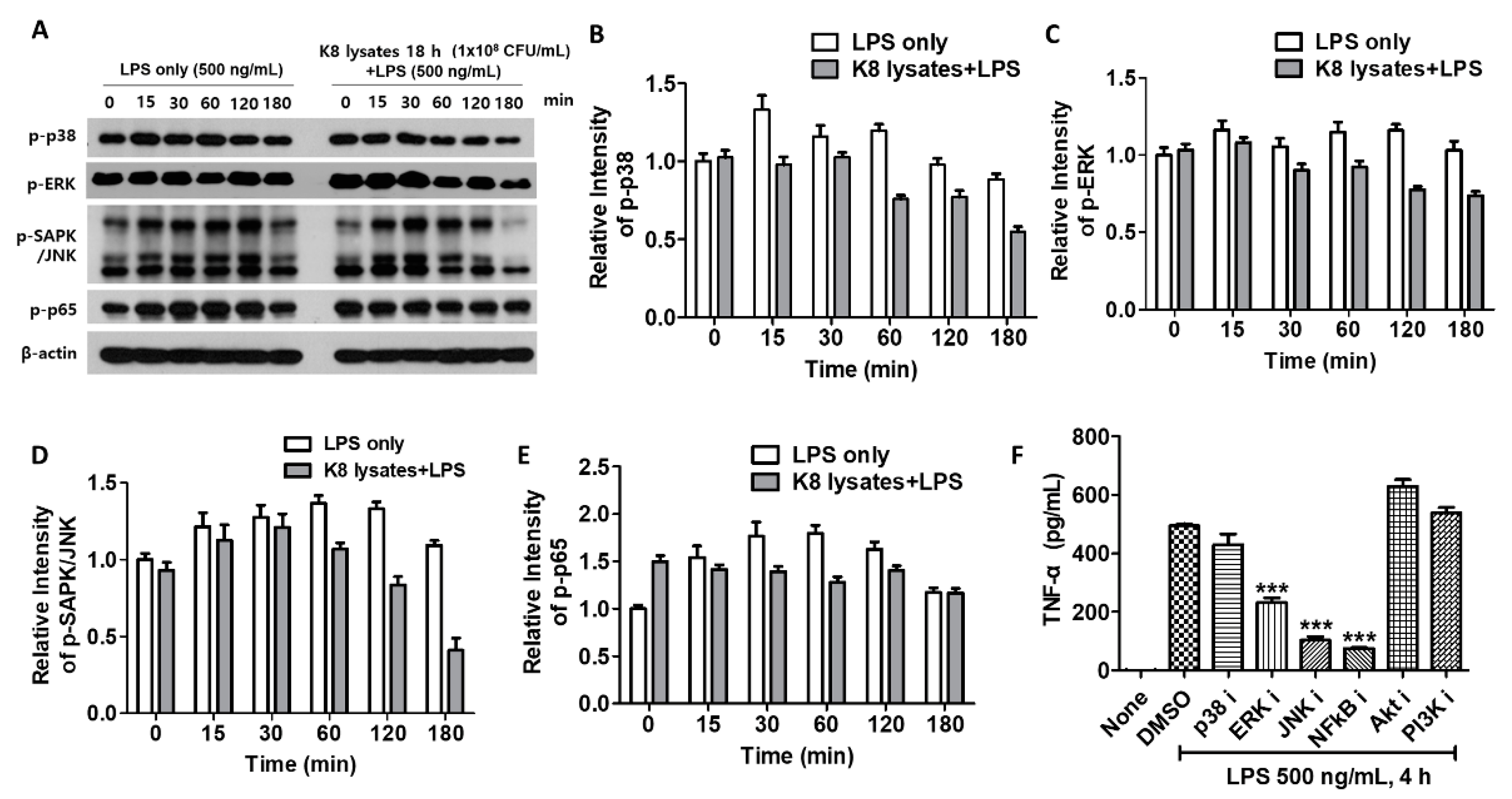 Ijms 22 05921 g002 Ijms 22 05921 g002