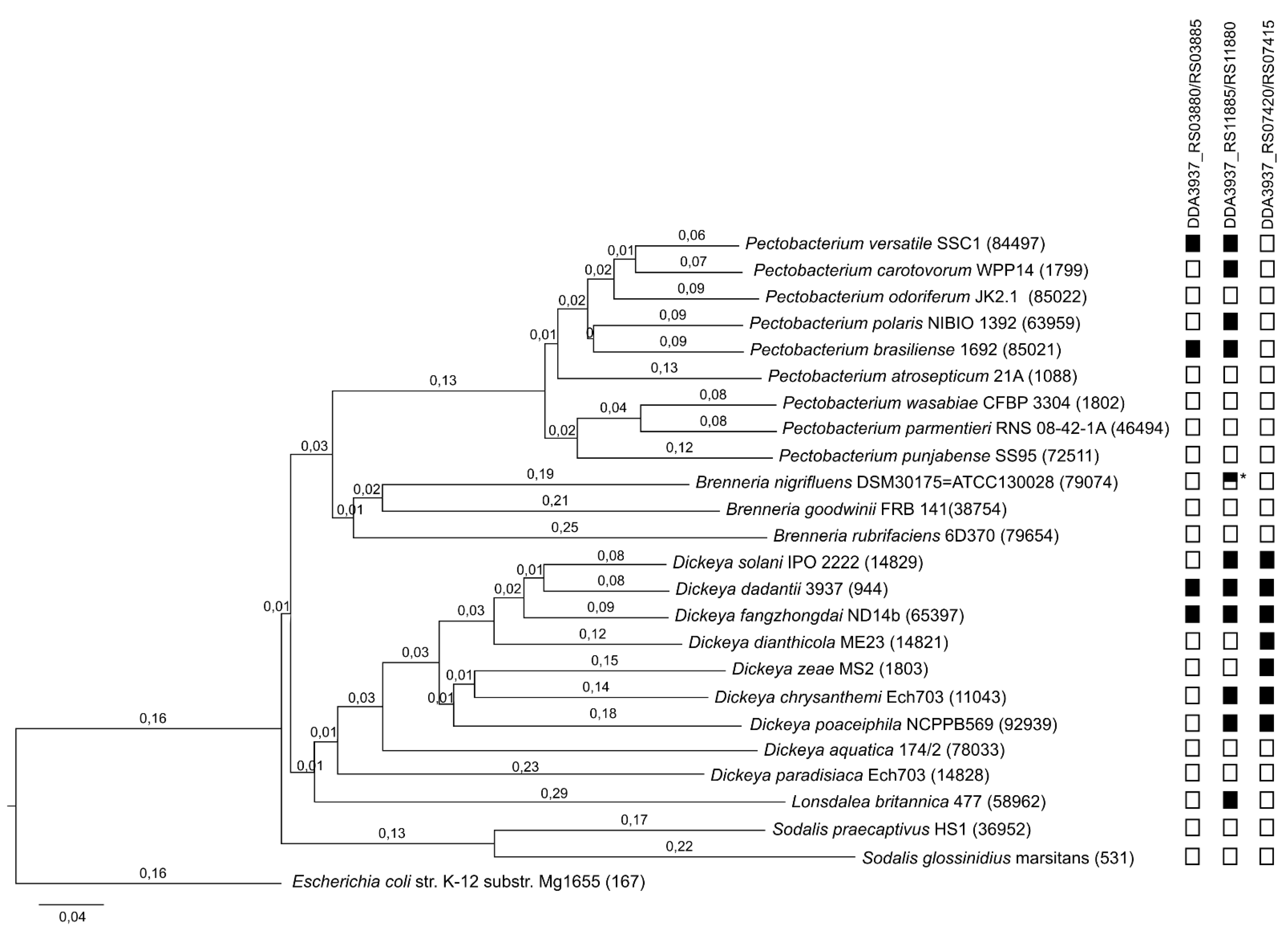 Ijms 22 05932 g001 Ijms 22 05932 g001