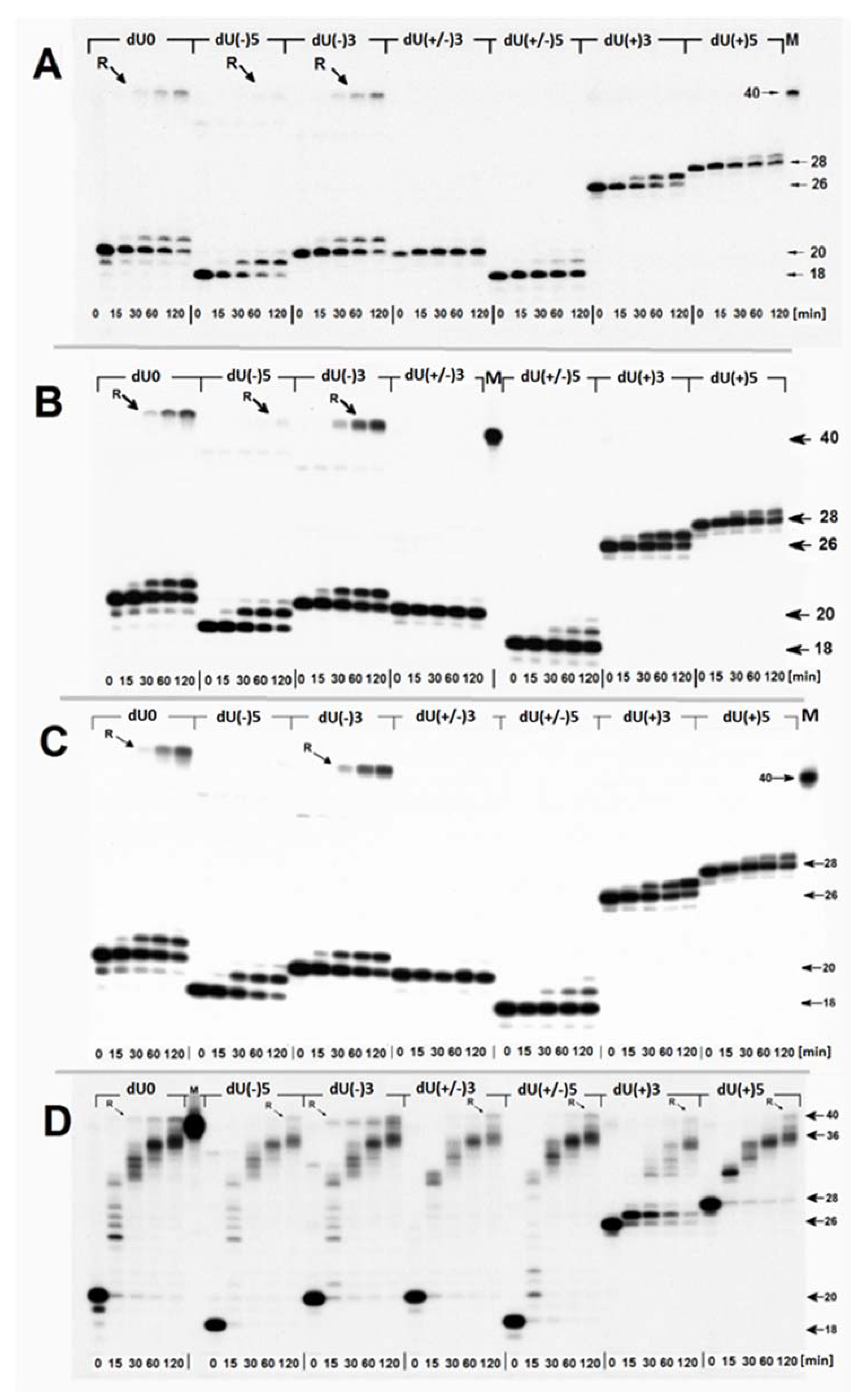 Ijms 22 05934 g005 Ijms 22 05934 g005