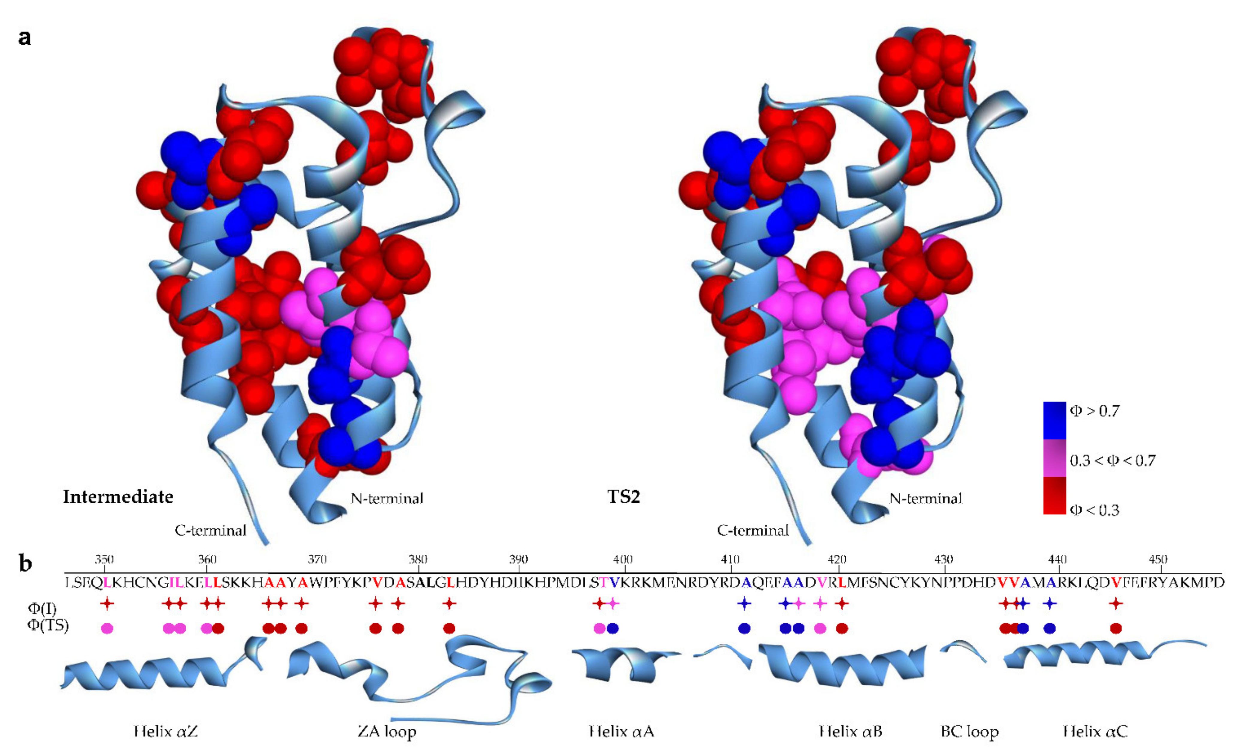 Ijms 22 05953 g003 Ijms 22 05953 g003
