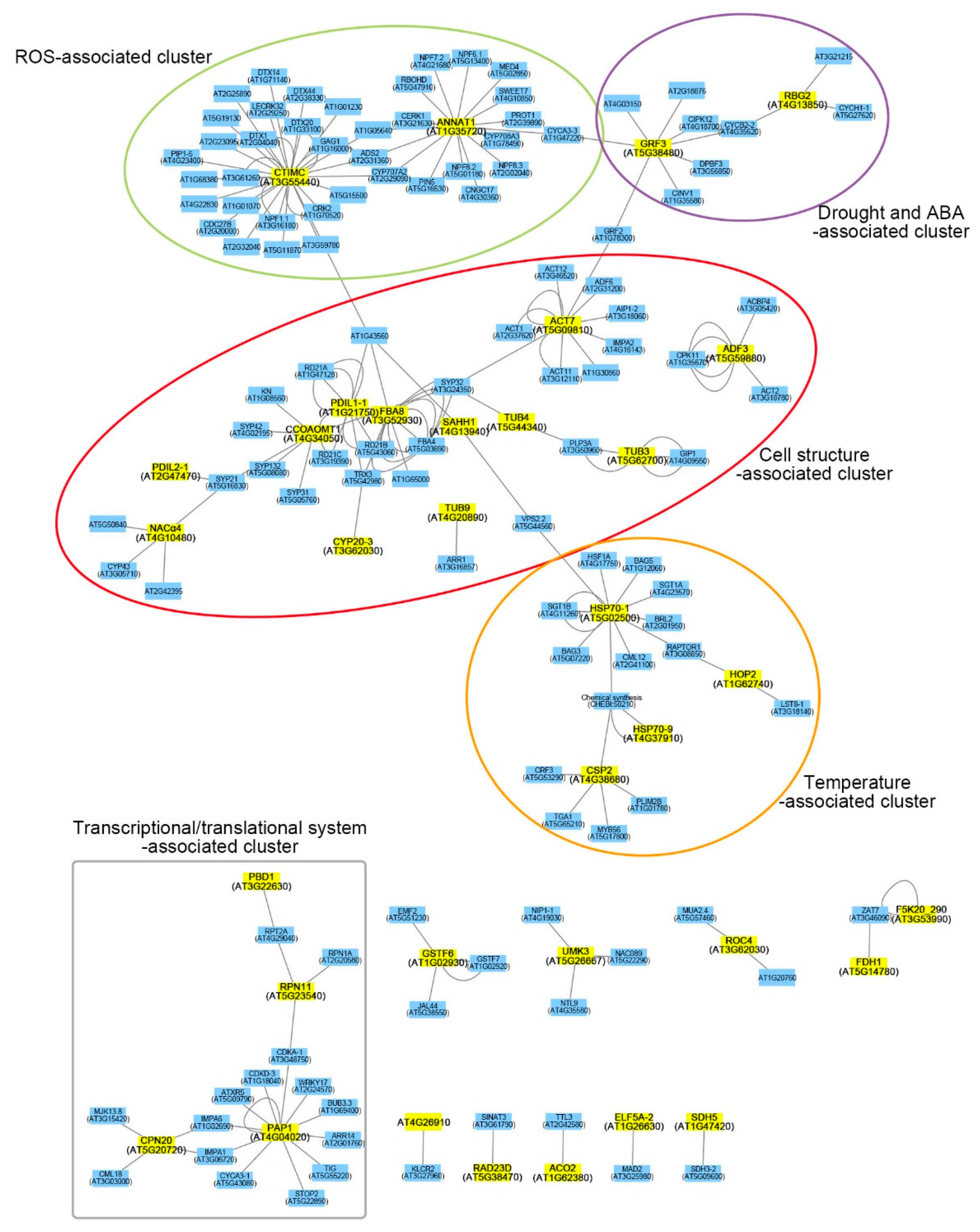 Ijms 22 05957 g004 Ijms 22 05957 g004