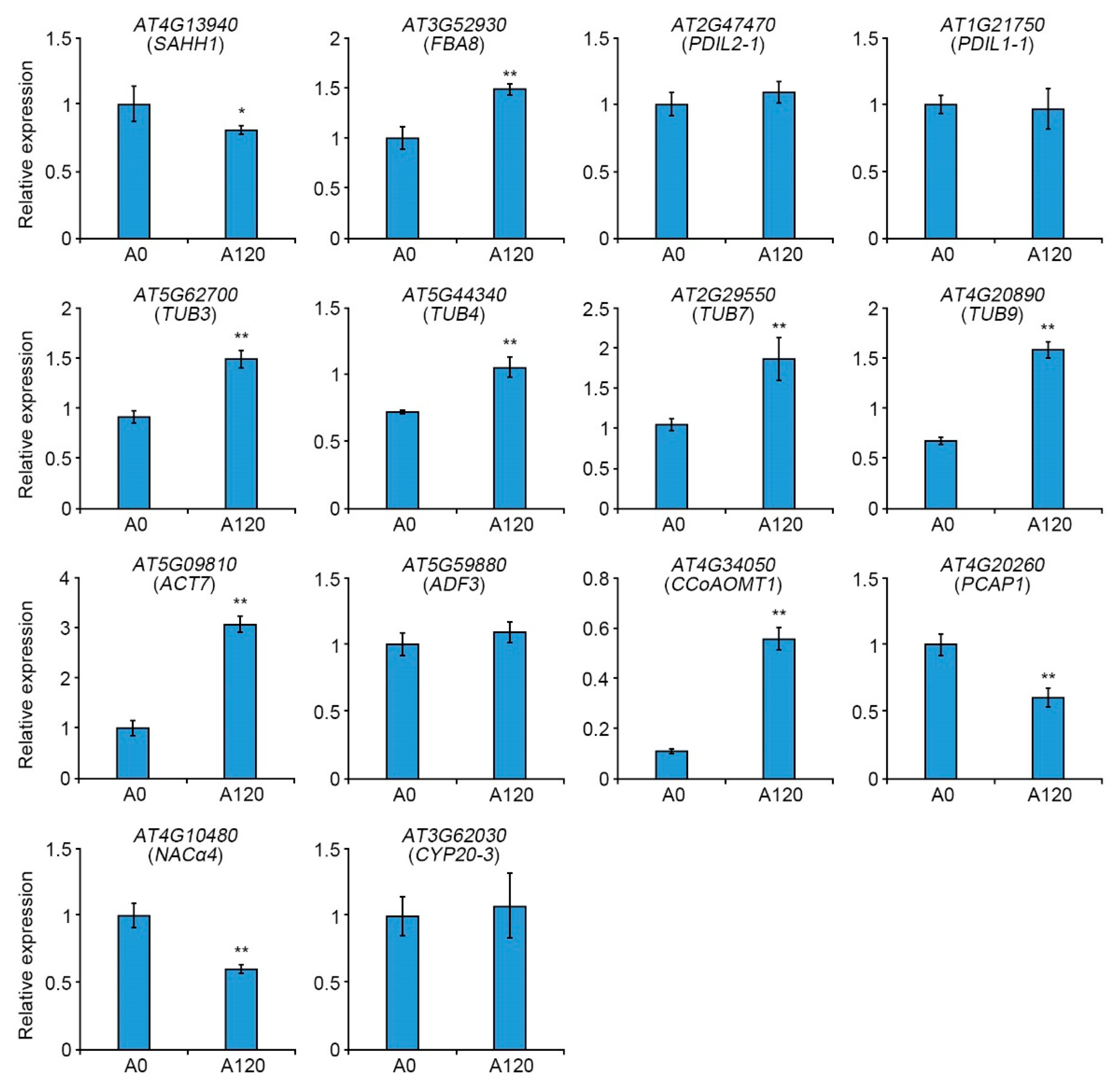 Ijms 22 05957 g005 Ijms 22 05957 g005