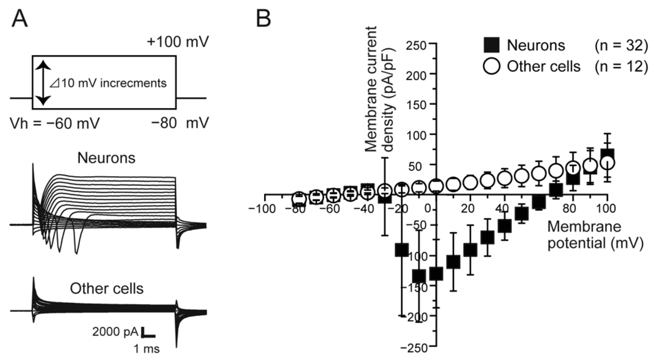 Ijms 22 05978 g001 Ijms 22 05978 g001