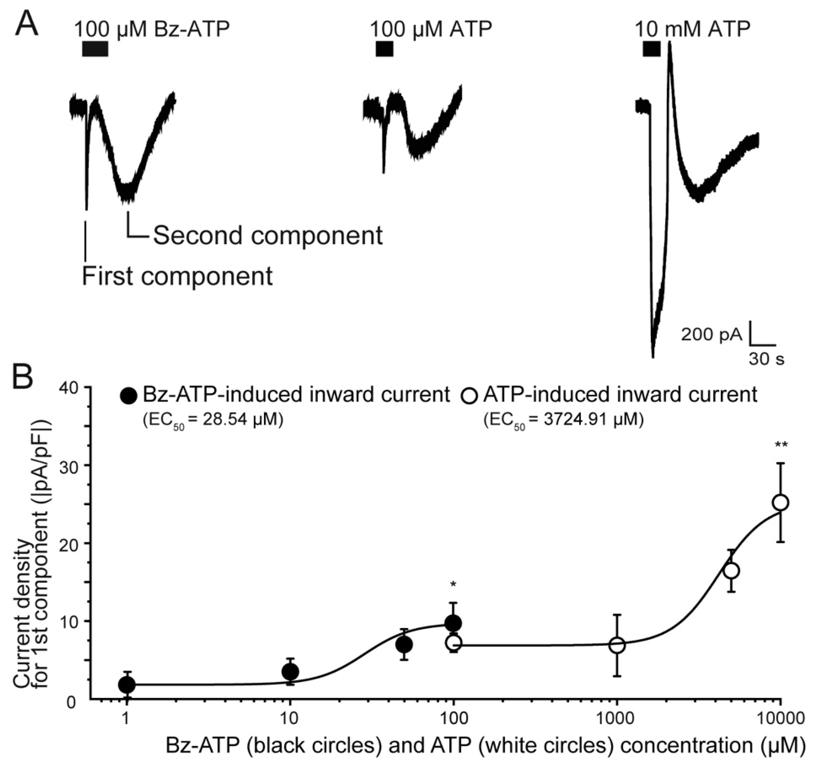 Ijms 22 05978 g002 Ijms 22 05978 g002