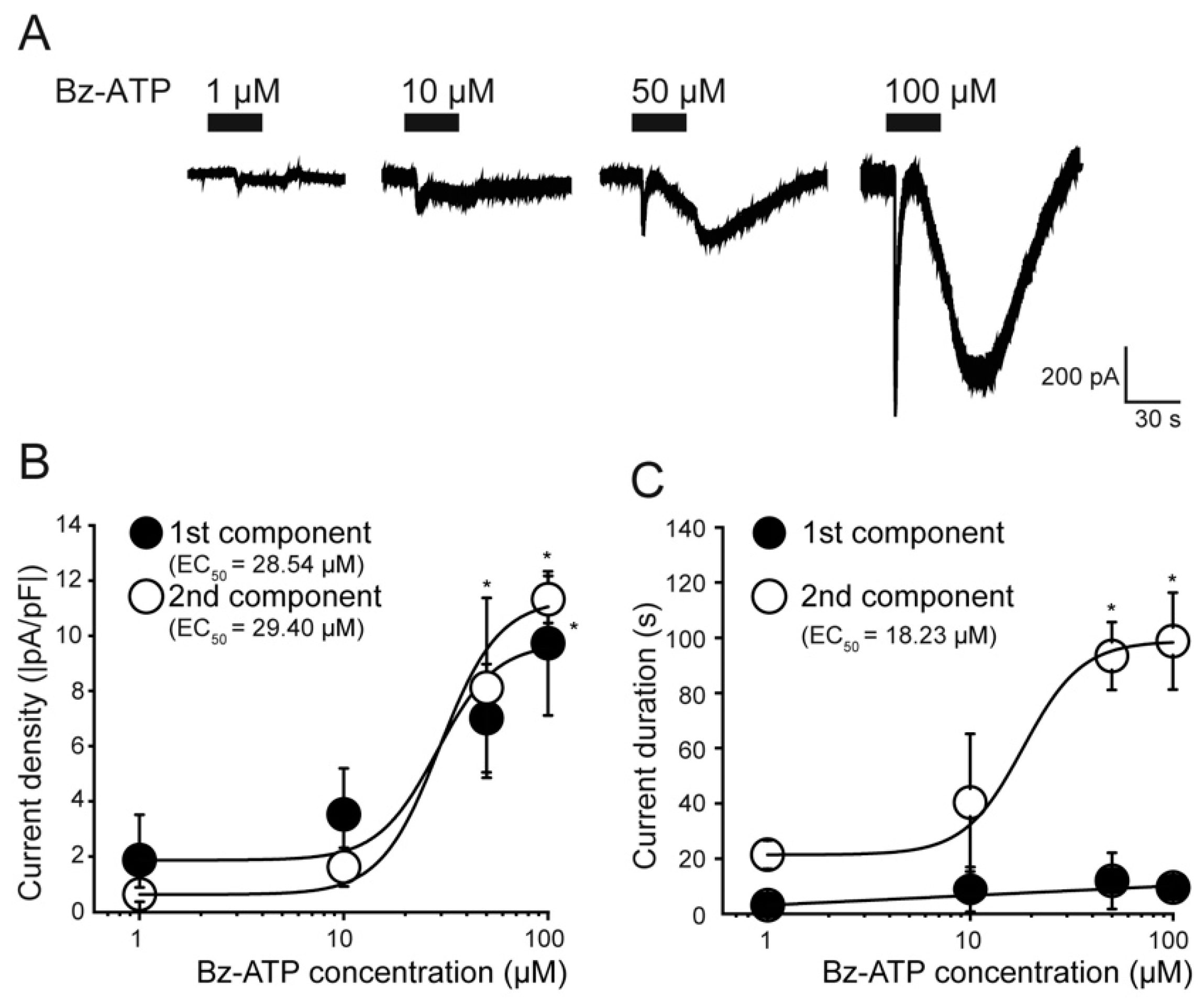 Ijms 22 05978 g003 Ijms 22 05978 g003