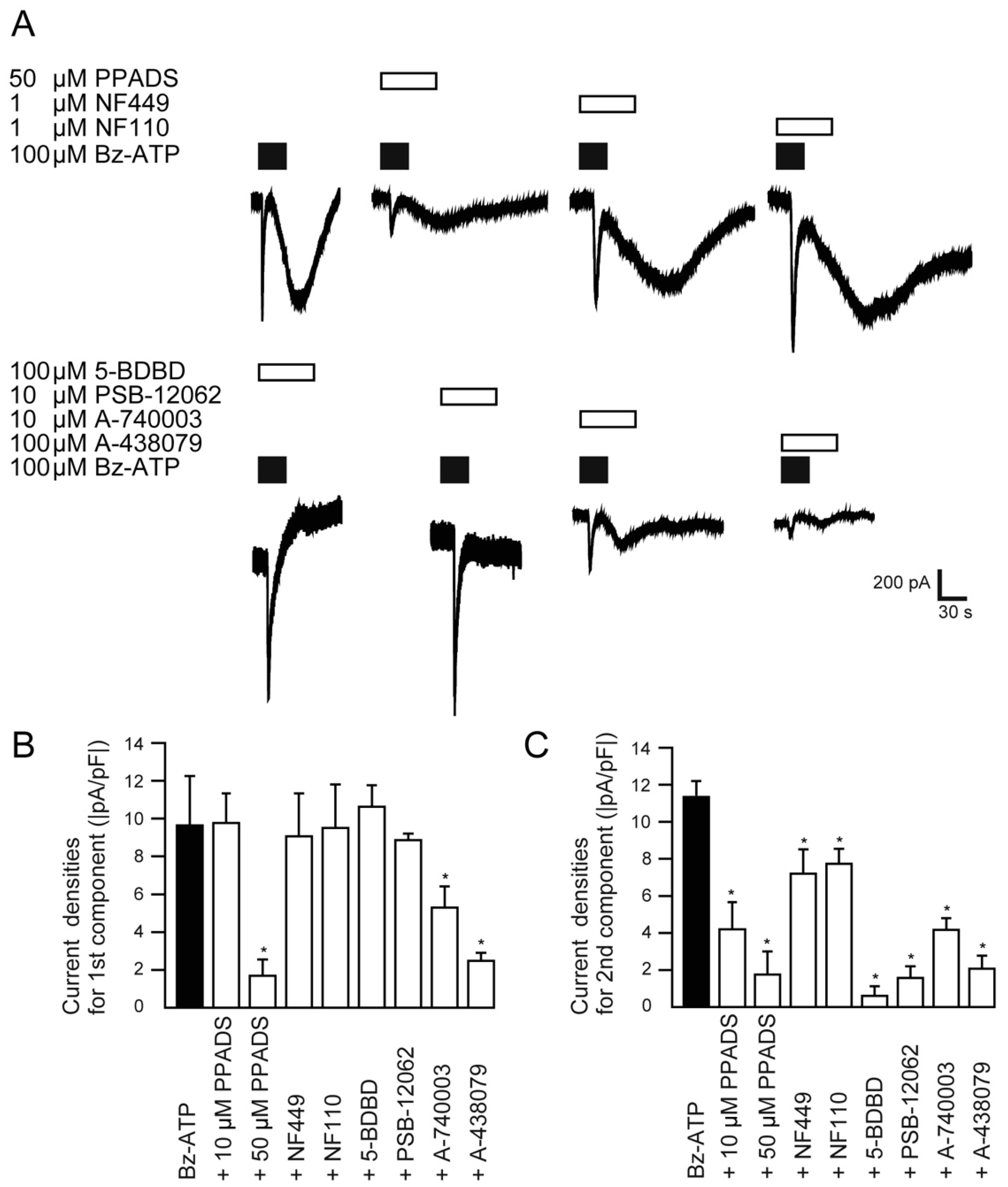 Ijms 22 05978 g004 Ijms 22 05978 g004