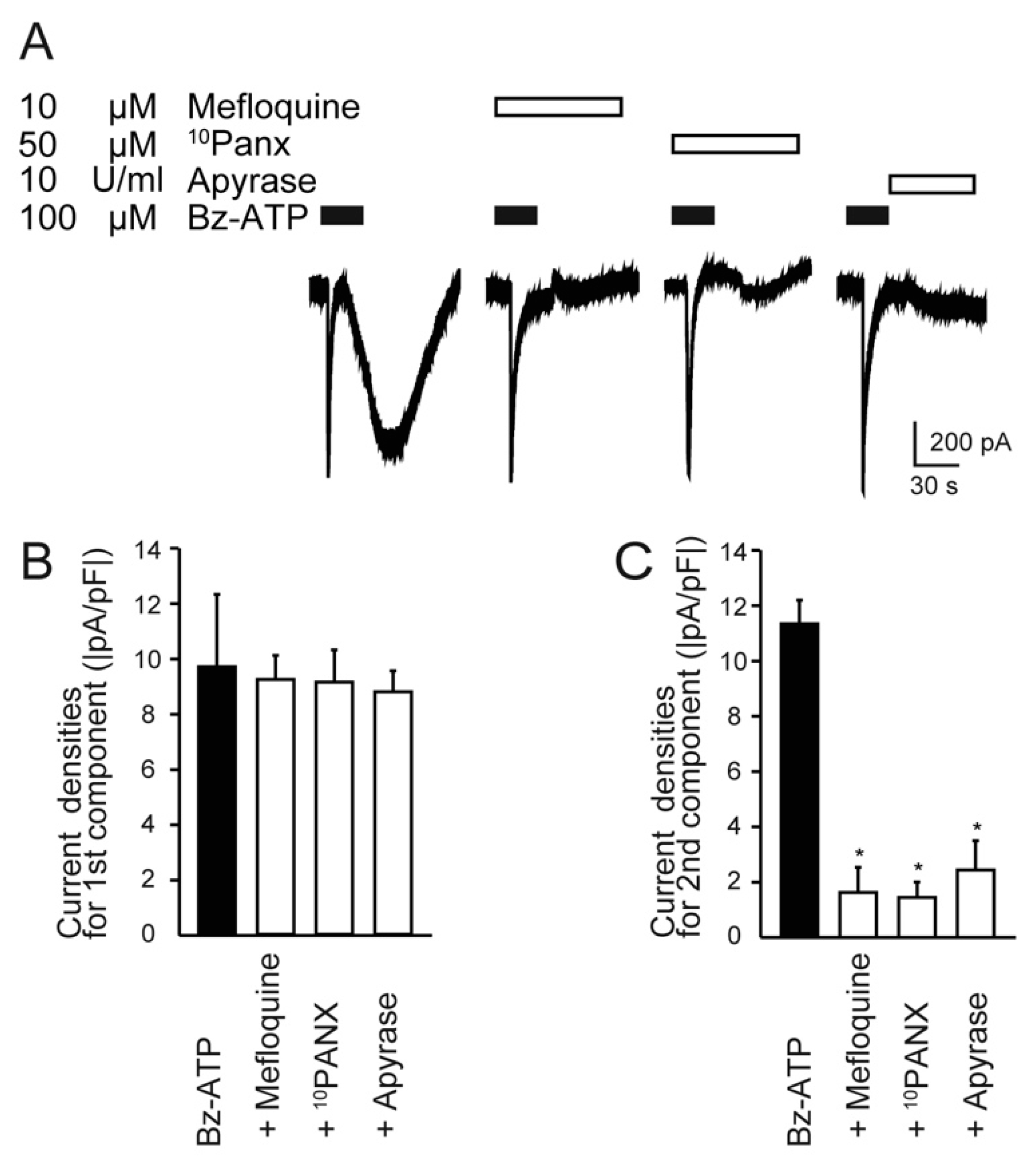 Ijms 22 05978 g005 Ijms 22 05978 g005
