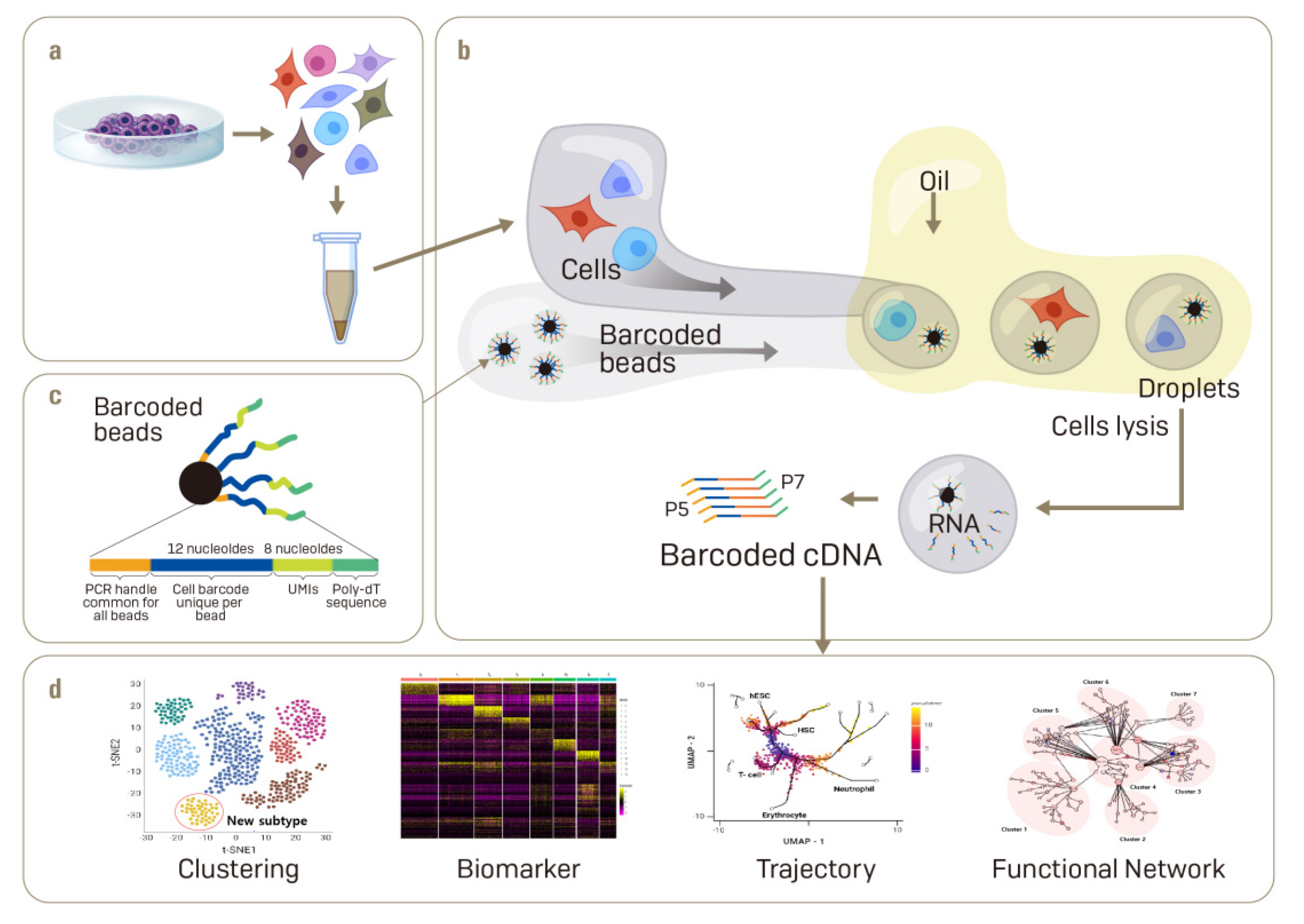 Ijms 22 05988 g001 Ijms 22 05988 g001