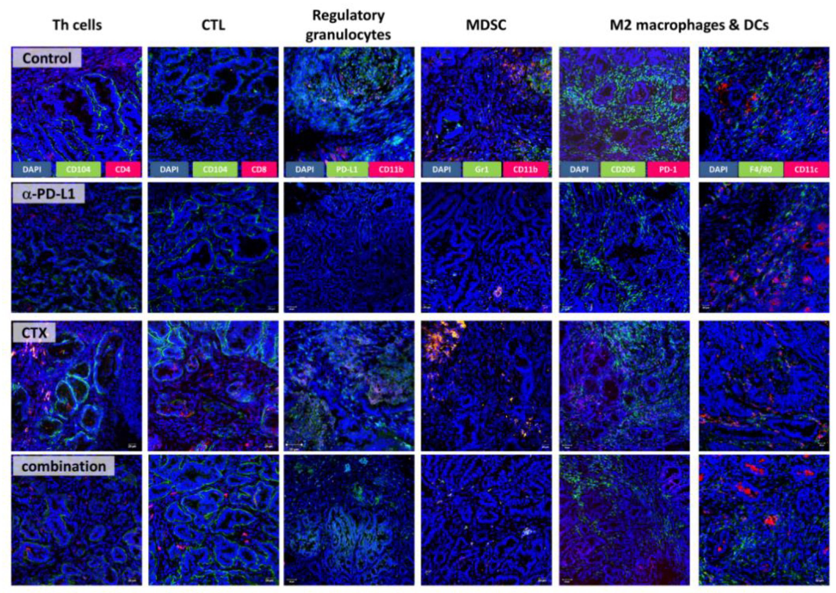 Ijms 22 05990 g005 Ijms 22 05990 g005