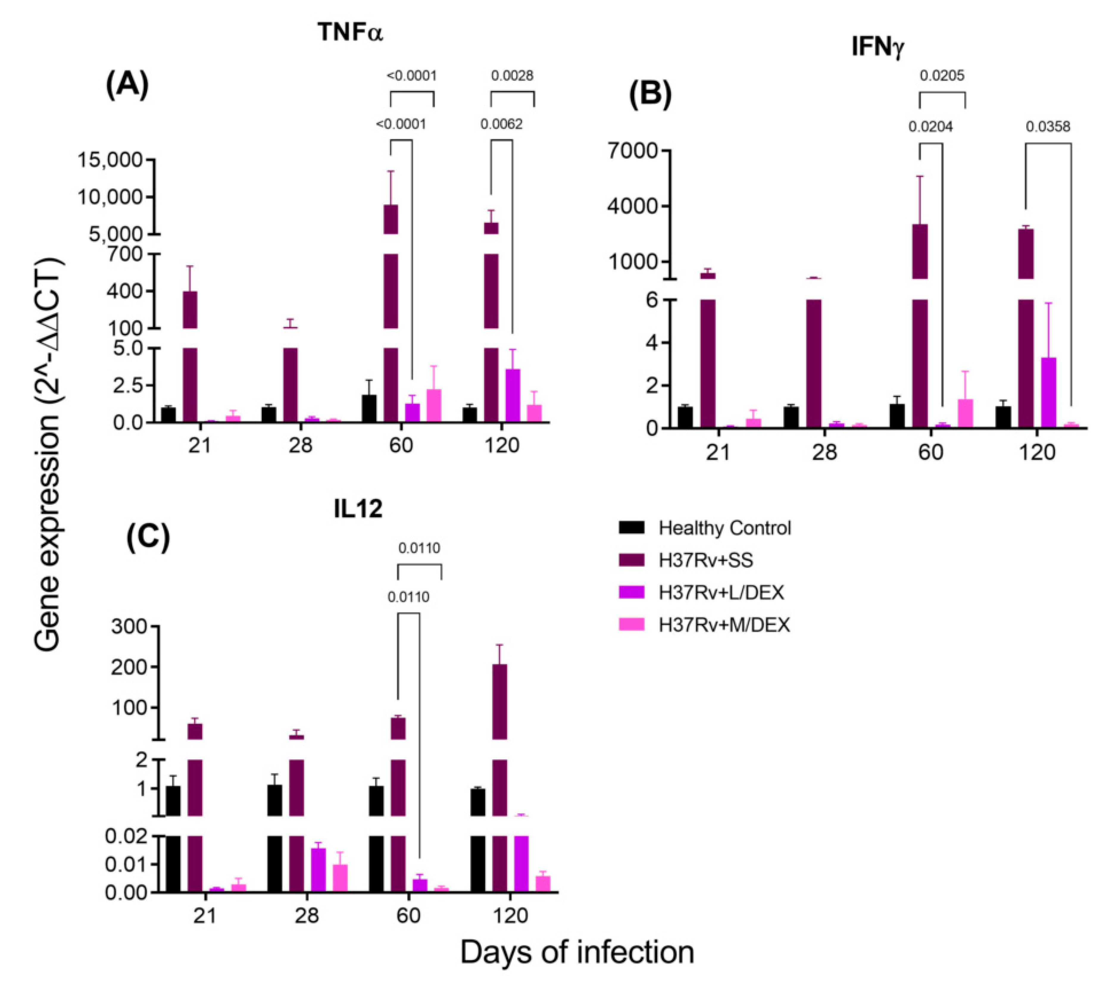 IJMS  Free Full-Text  The Therapeutic Effect of Intranasal 