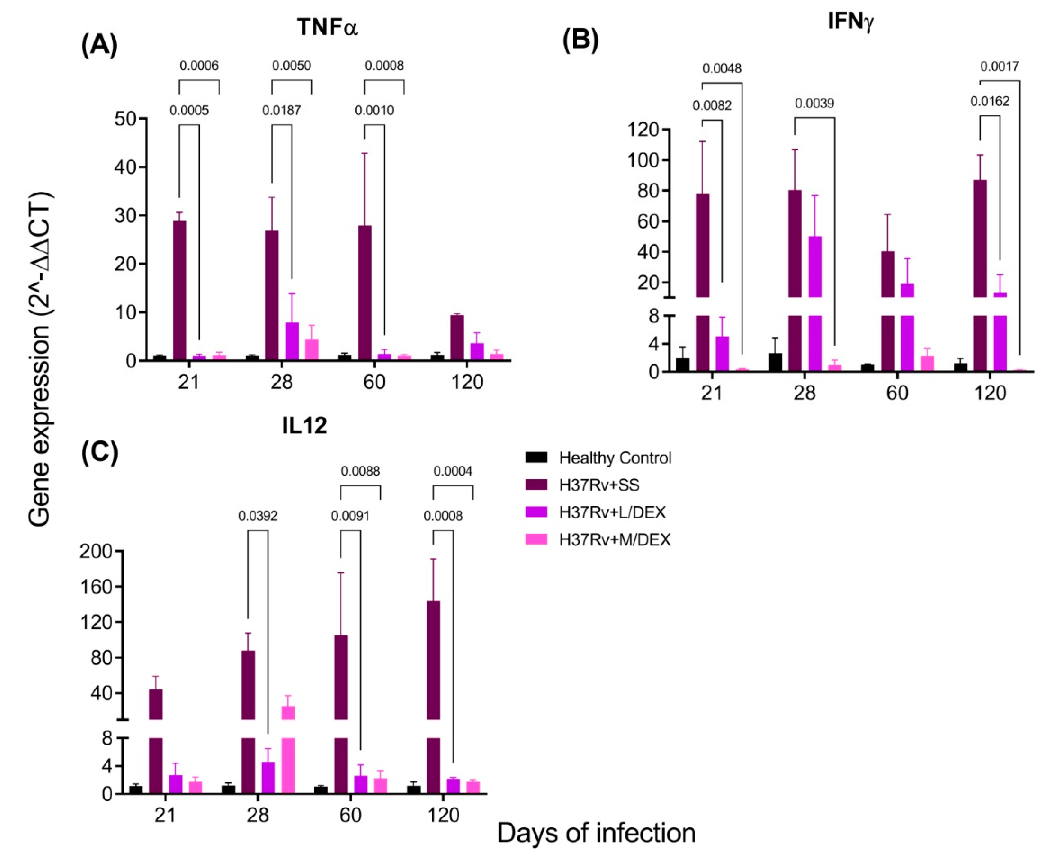 IJMS  Free Full-Text  The Therapeutic Effect of Intranasal 